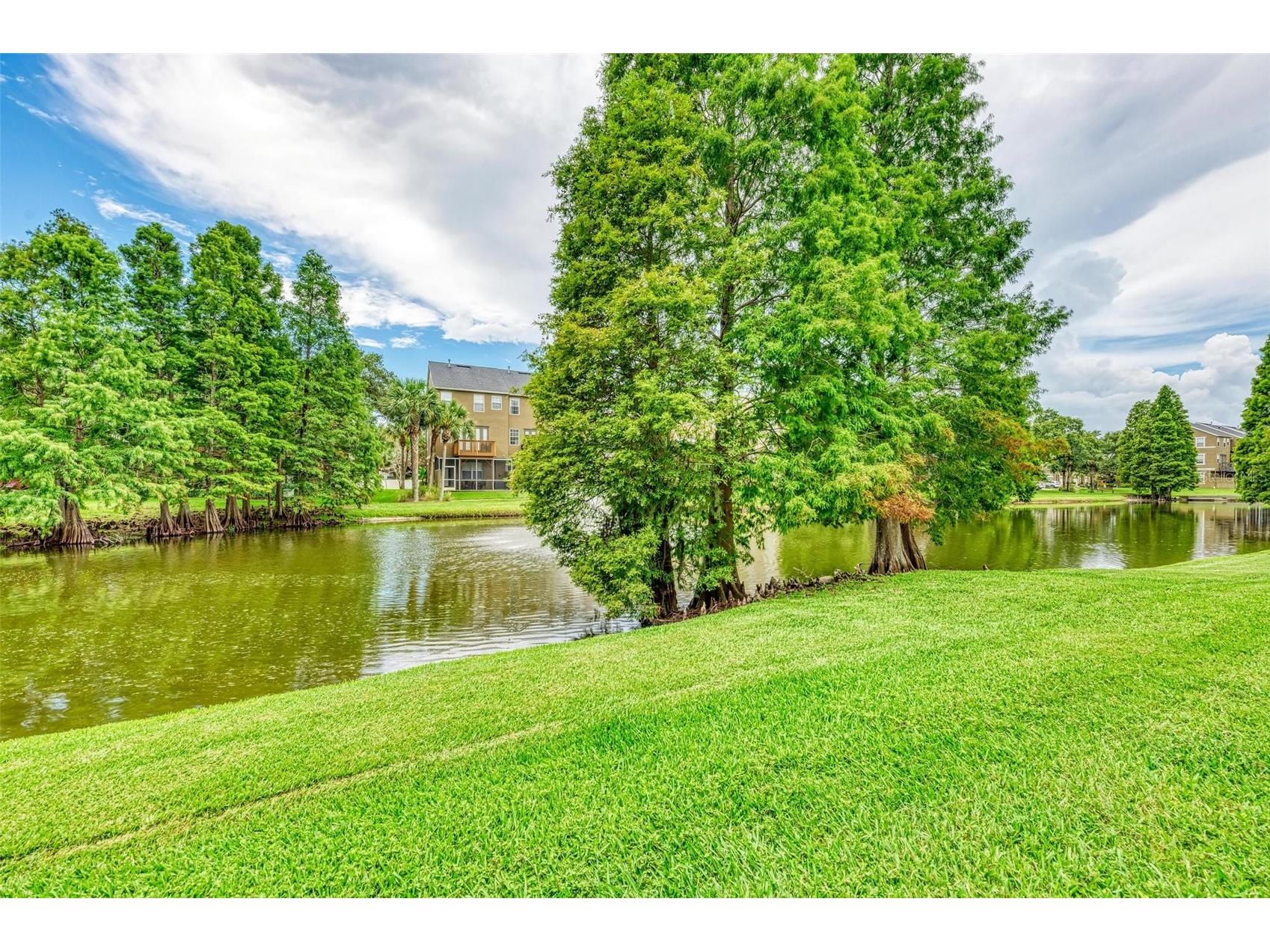 3047 Pointeview Drive Tampa FL 33611 TB8498644 image53