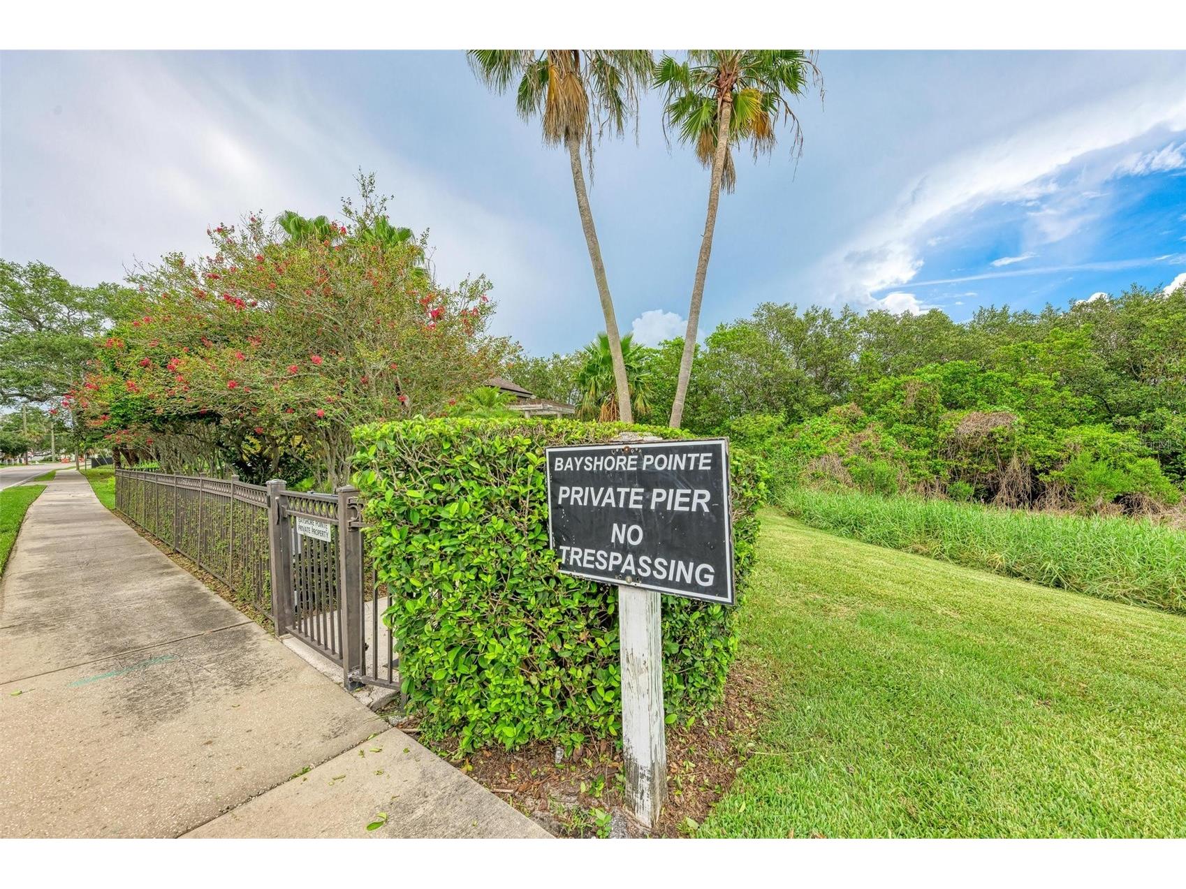 3047 Pointeview Drive Tampa FL 33611 TB8498644 image56