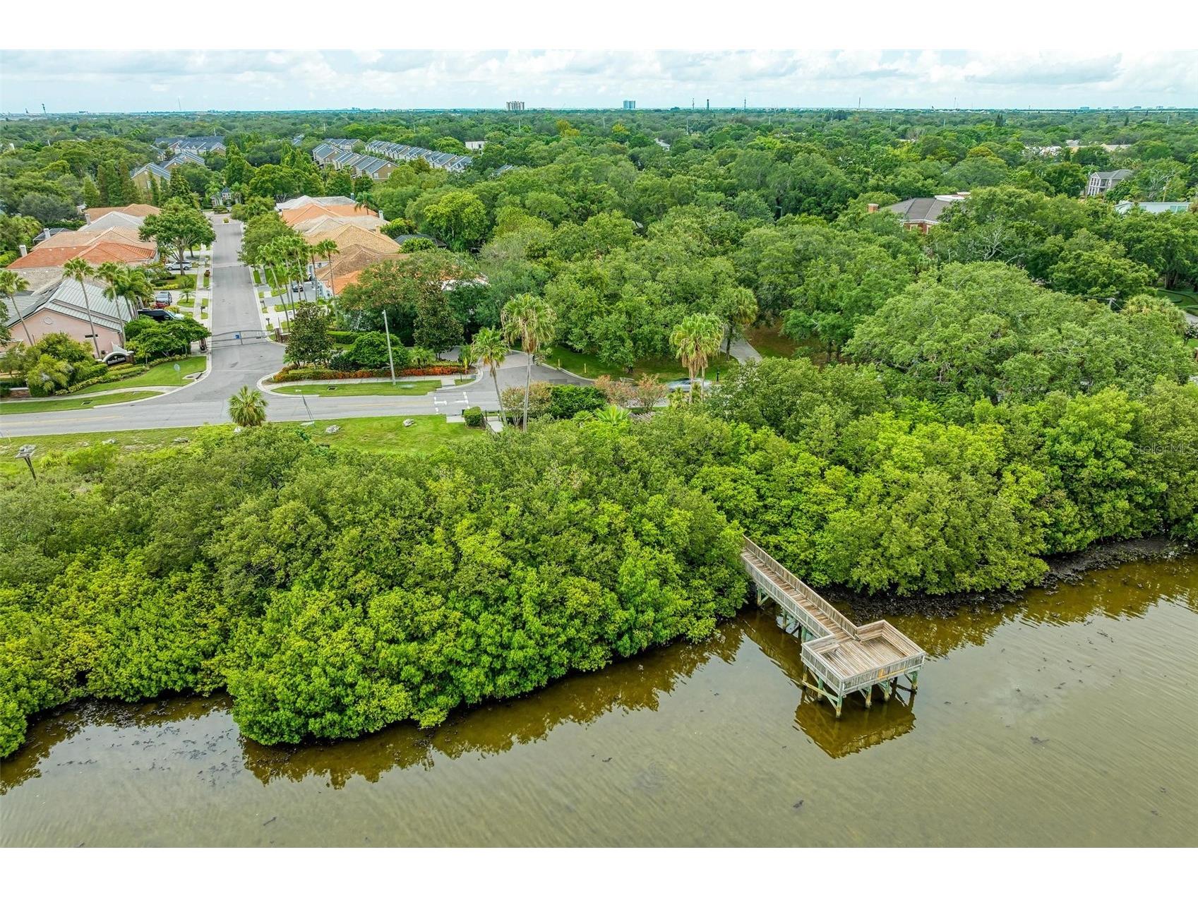 3047 Pointeview Drive Tampa FL 33611 TB8498644 image60