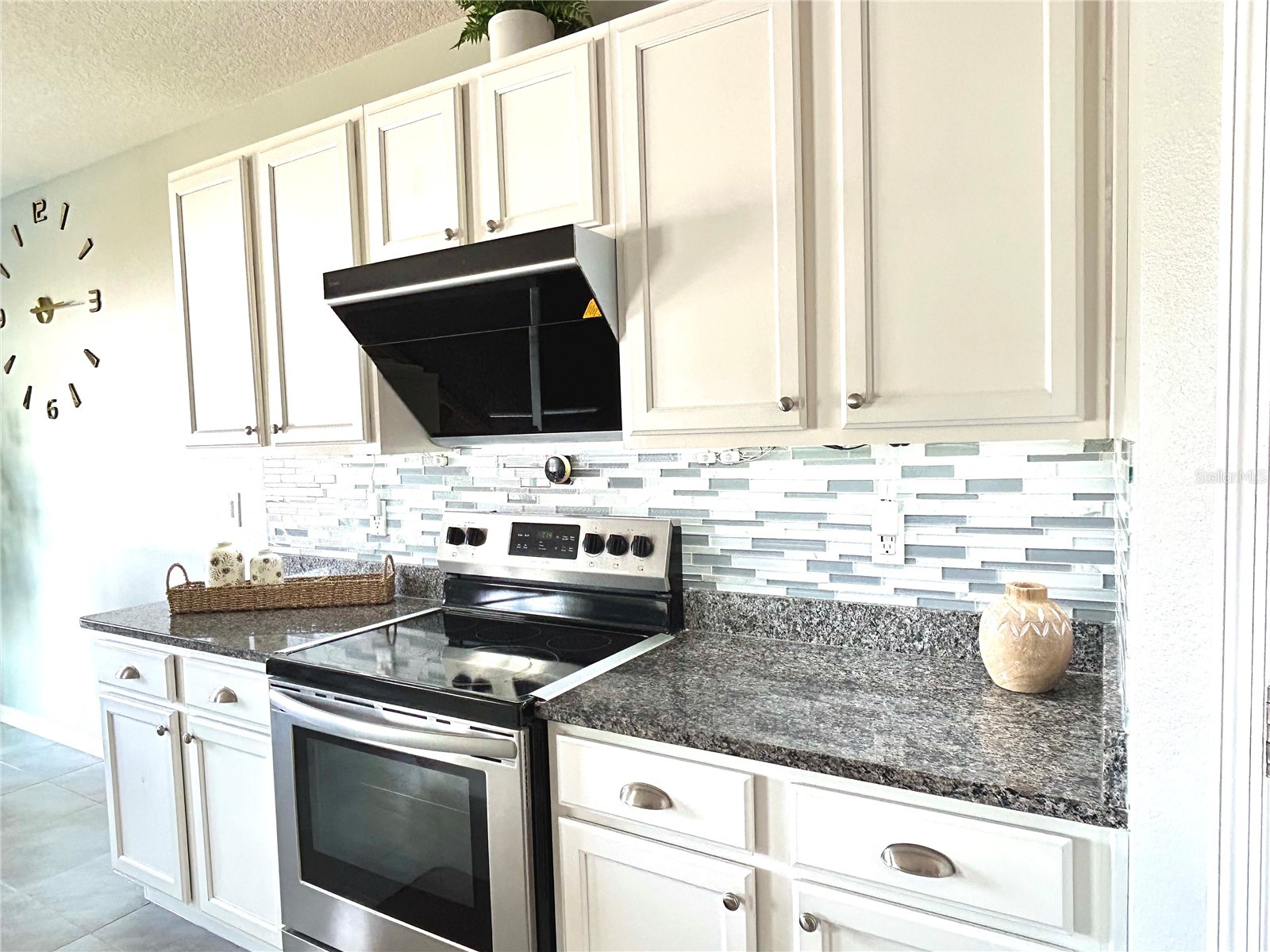 3048 Bethpage Loop Mount Dora FL 32757 G5109256 image12