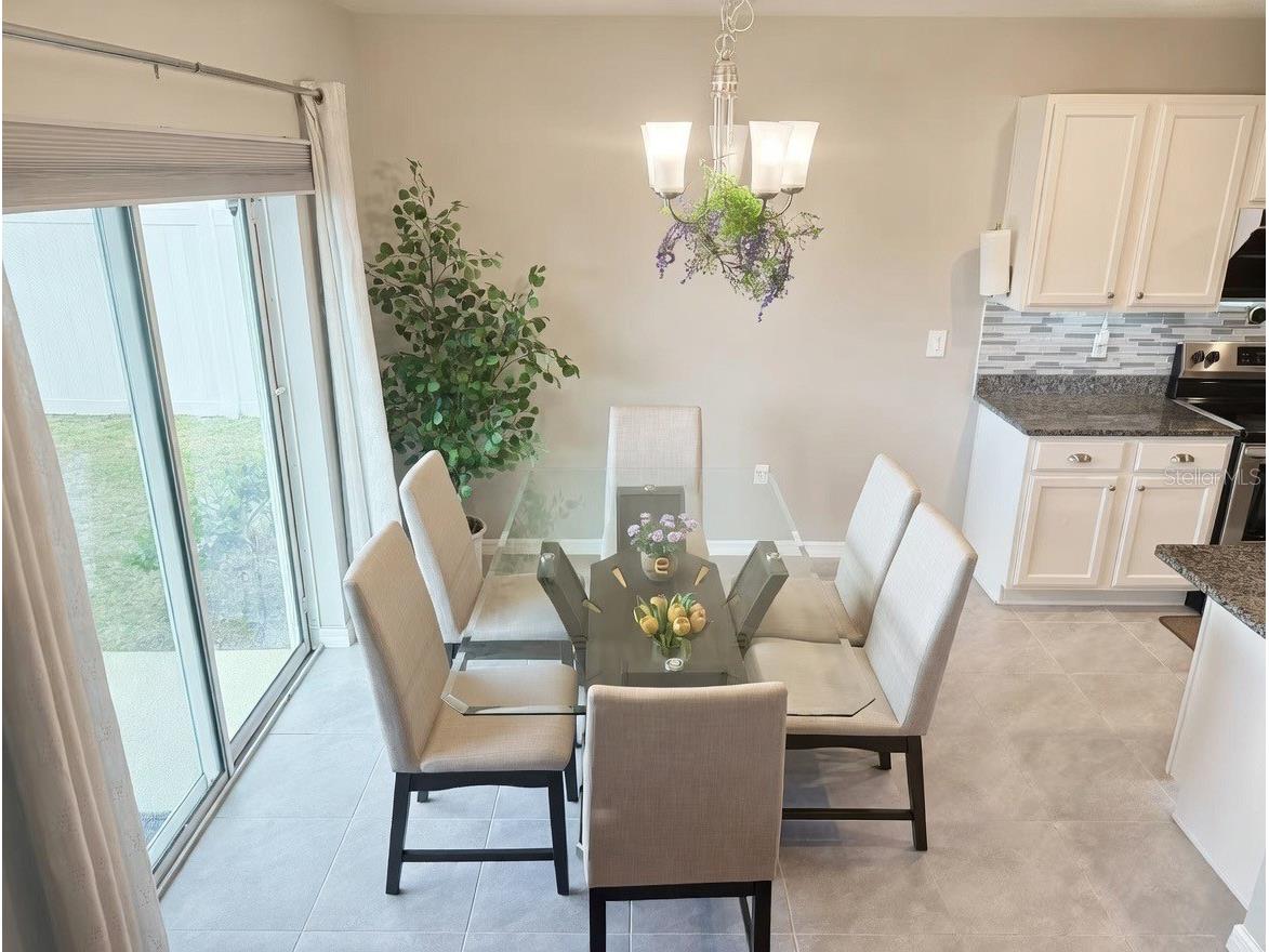 3048 Bethpage Loop Mount Dora FL 32757 G5109256 image17