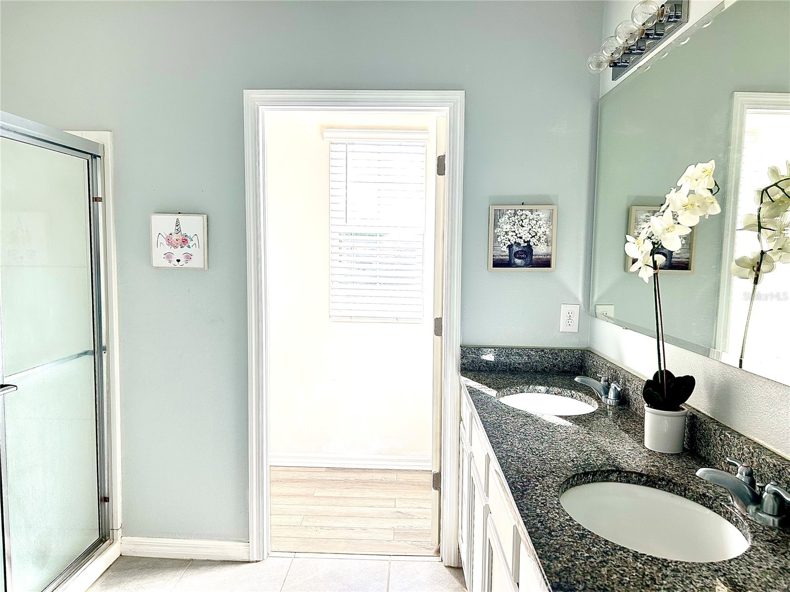 3048 Bethpage Loop Mount Dora FL 32757 G5109256 image32
