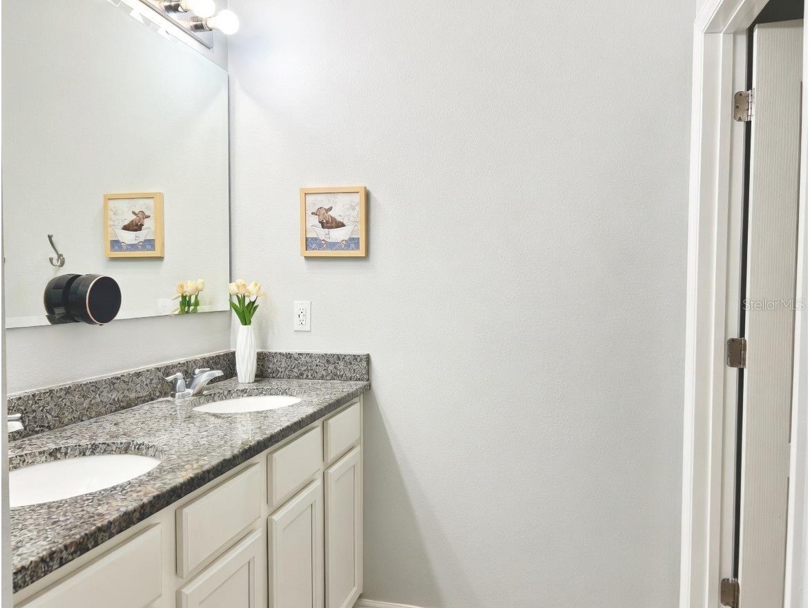 3048 Bethpage Loop Mount Dora FL 32757 G5109256 image33