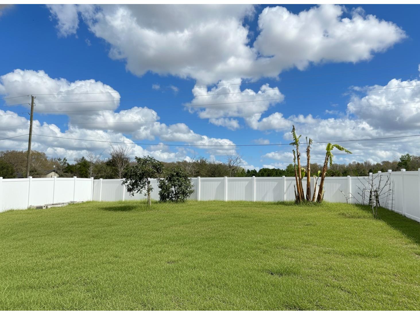 3048 Bethpage Loop Mount Dora FL 32757 G5109256 image37