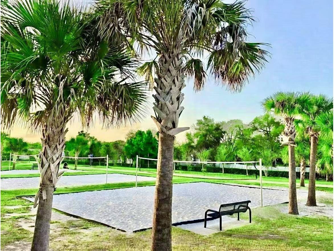 3048 Bethpage Loop Mount Dora FL 32757 G5109256 image44