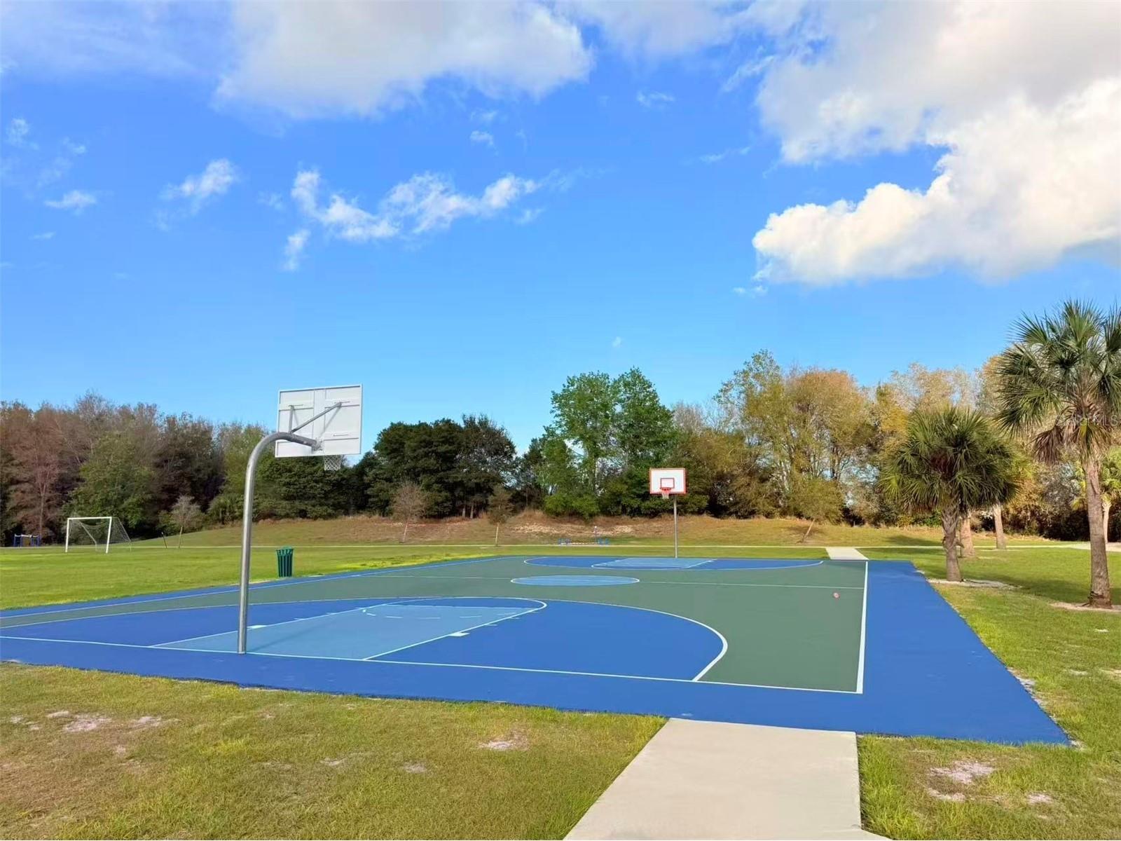3048 Bethpage Loop Mount Dora FL 32757 G5109256 image46