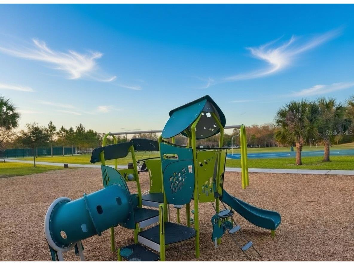 3048 Bethpage Loop Mount Dora FL 32757 G5109256 image47