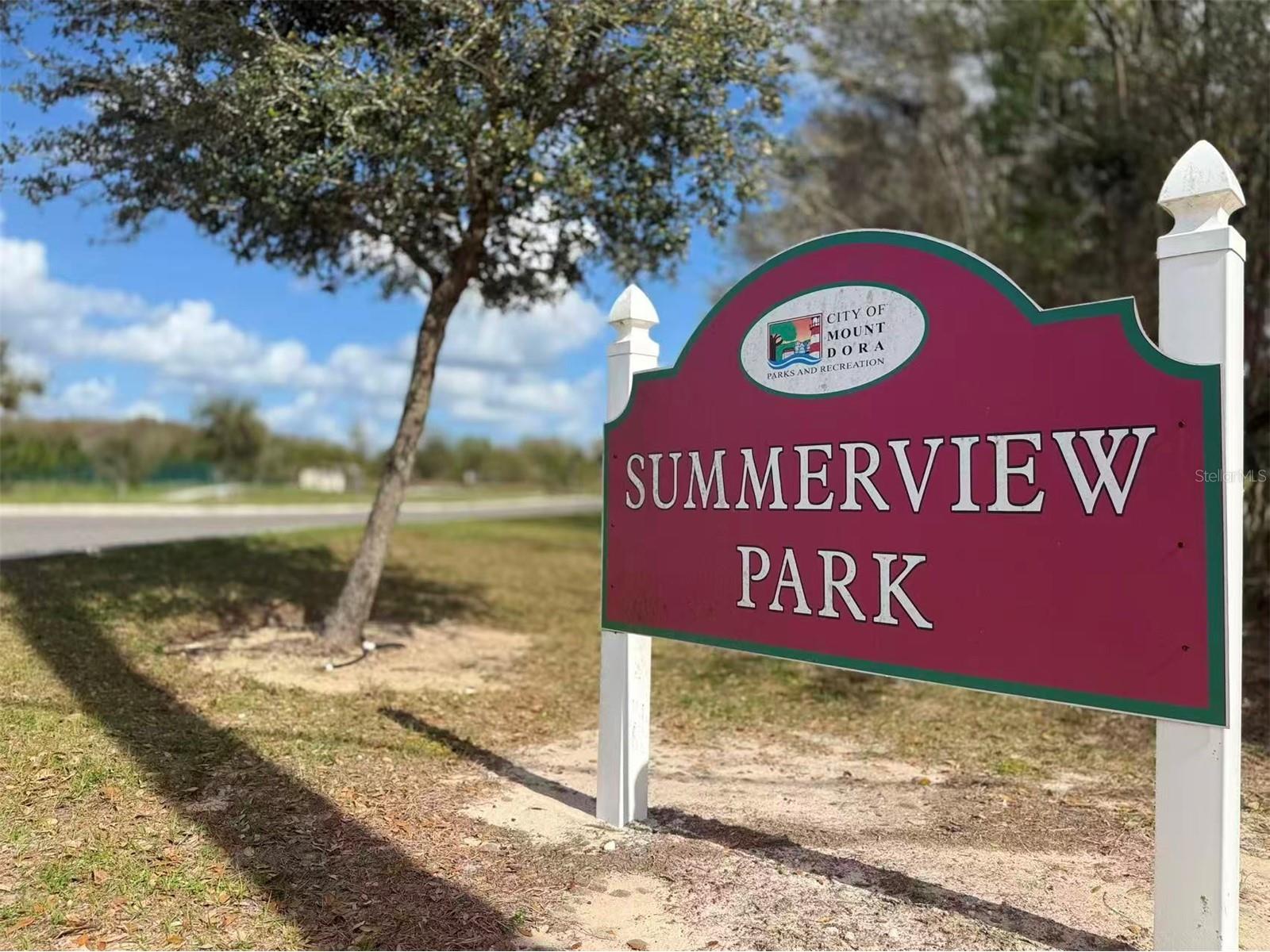 3048 Bethpage Loop Mount Dora FL 32757 G5109256 image51