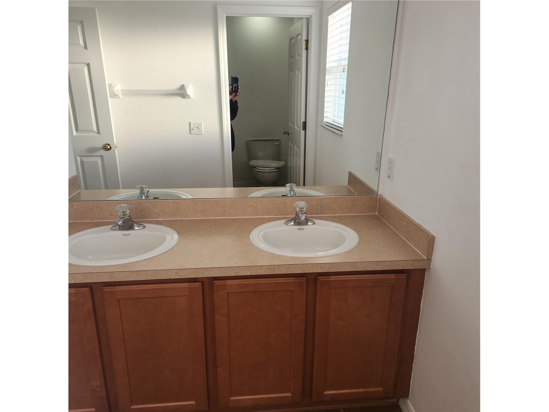 3048 Chessington Drive Land O Lakes FL 34638 TB8487886 image10