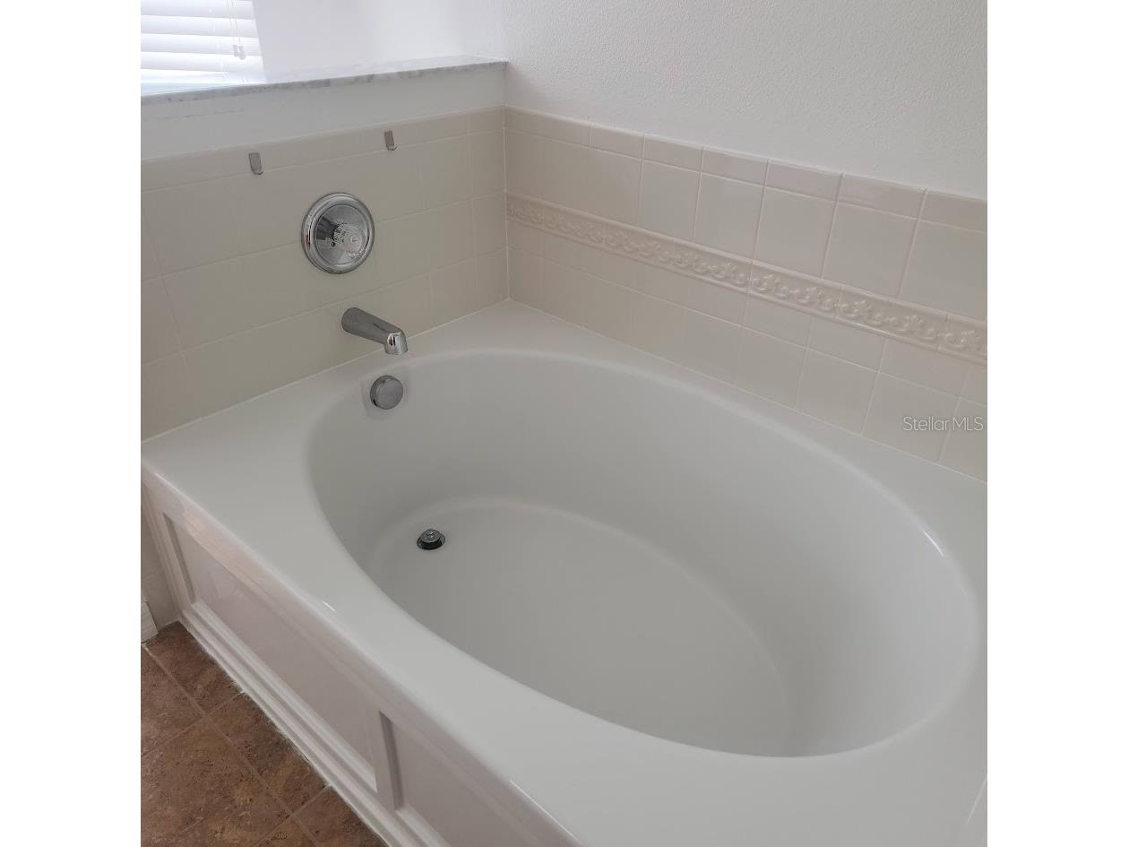 3048 Chessington Drive Land O Lakes FL 34638 TB8487886 image13