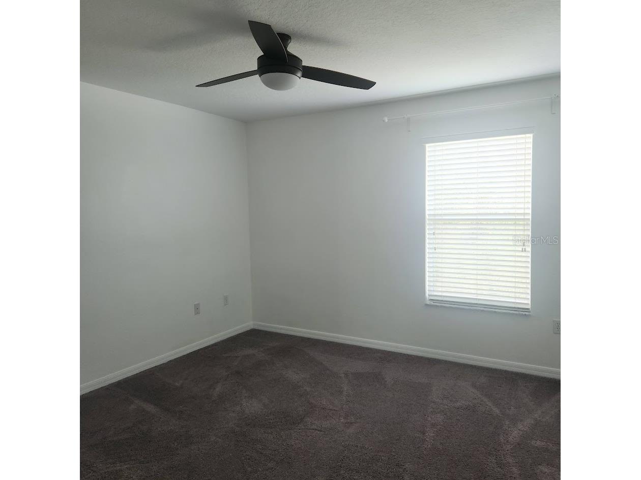 3048 Chessington Drive Land O Lakes FL 34638 TB8487886 image14