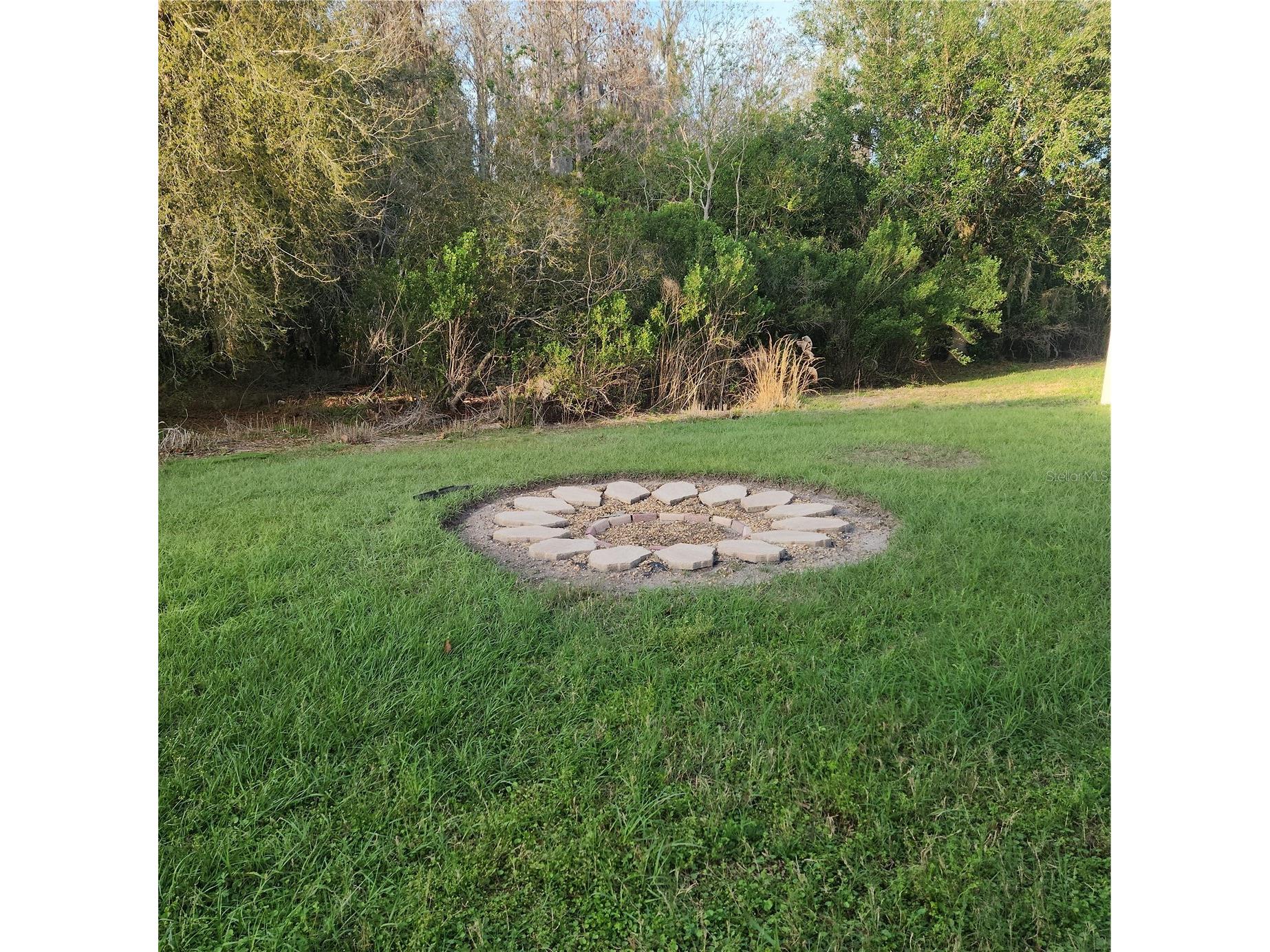 3048 Chessington Drive Land O Lakes FL 34638 TB8487886 image17