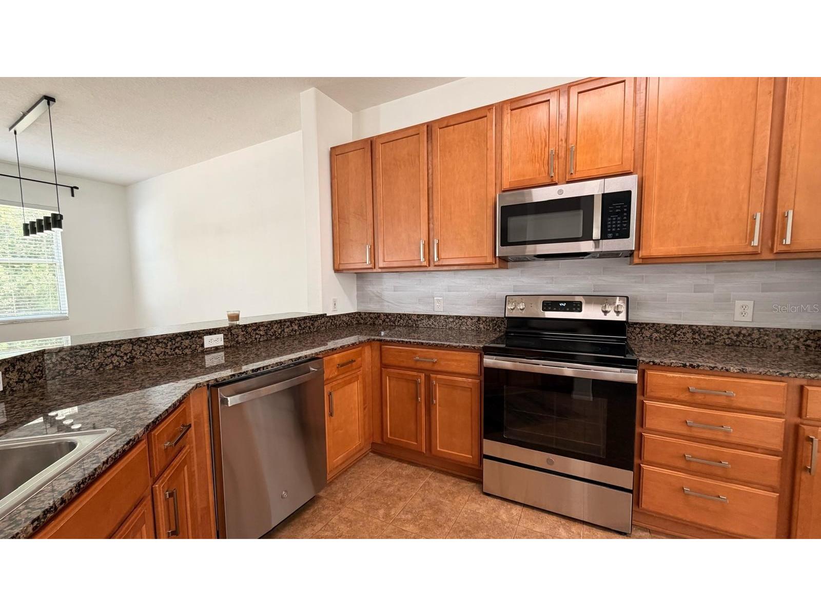 3048 Chessington Drive Land O Lakes FL 34638 TB8487886 image25