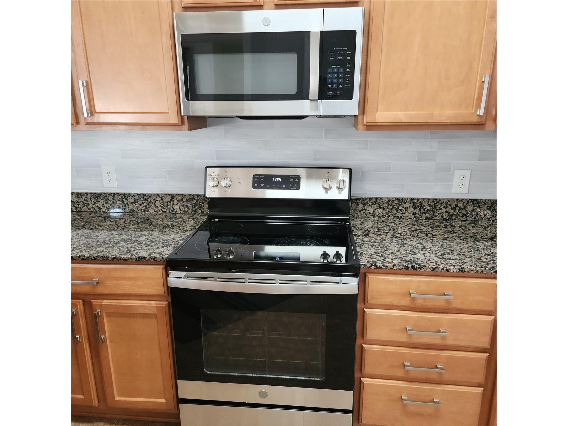 3048 Chessington Drive Land O Lakes FL 34638 TB8487886 image6