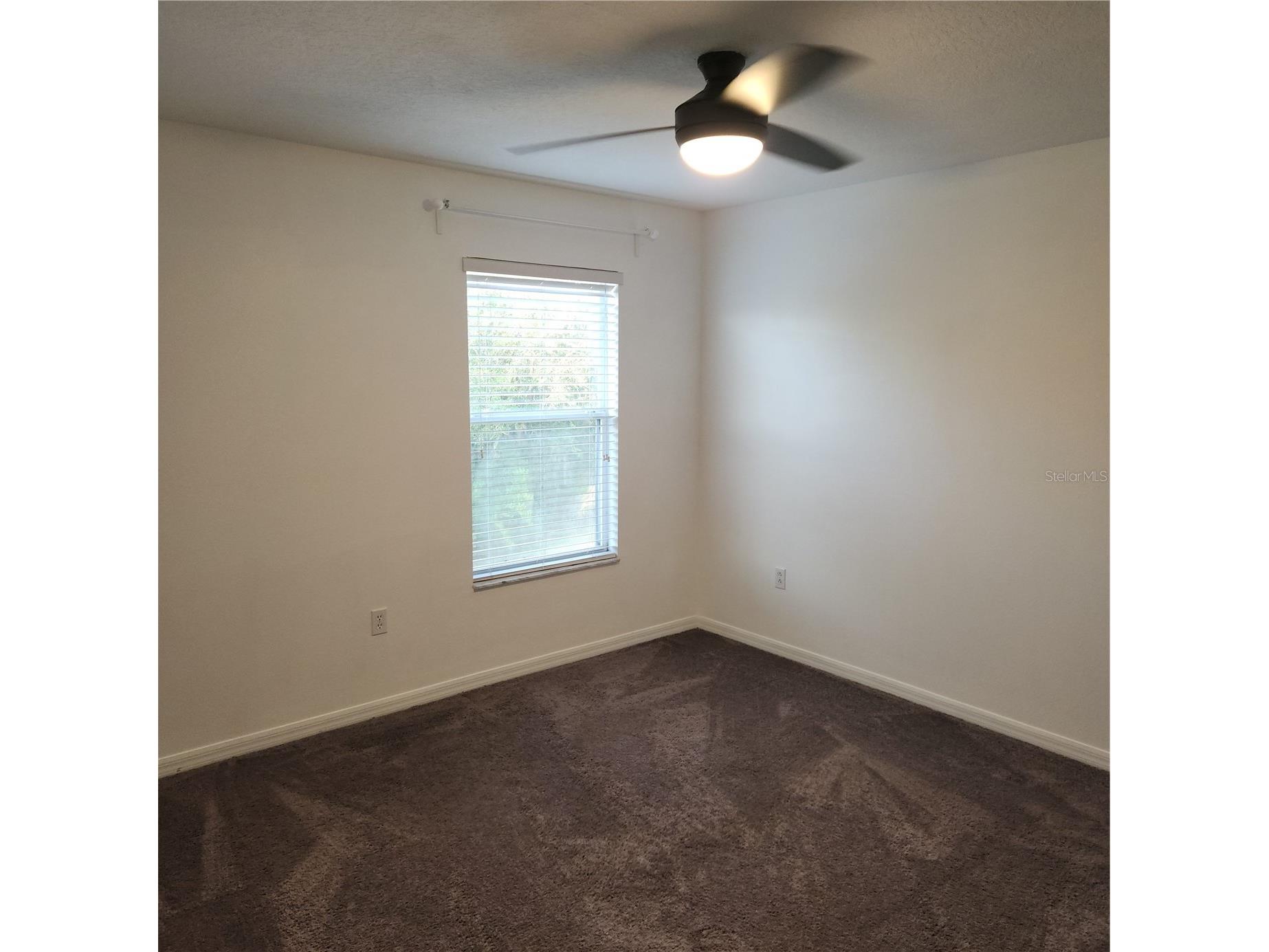 3048 Chessington Drive Land O Lakes FL 34638 TB8487886 image9