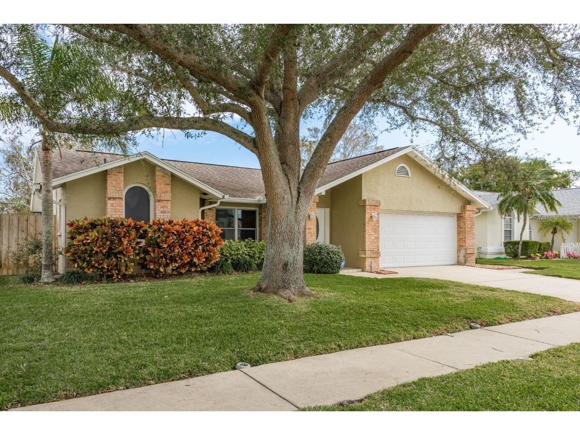 3048 Orchard Drive Palm Harbor FL 34684 TB8339635 image1