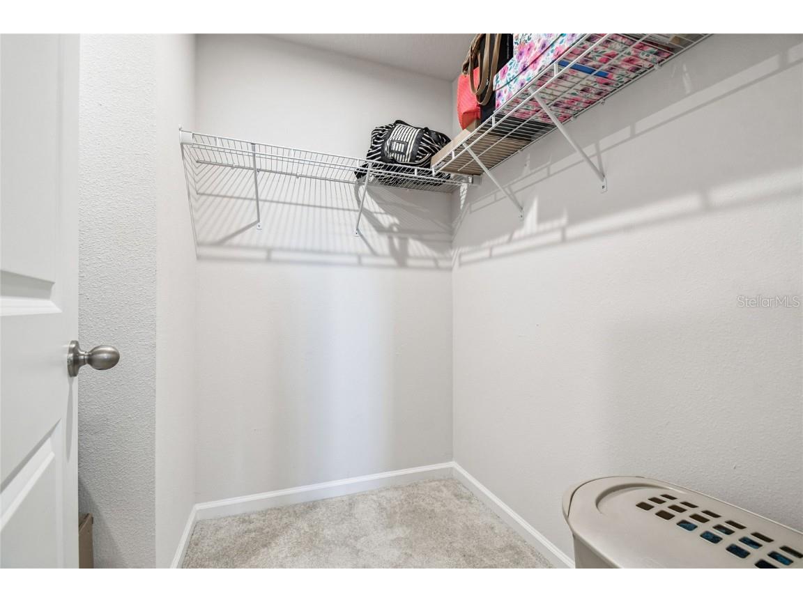 3048 Victoria Inlet Drive Holiday FL 34691 TB8442711 image21