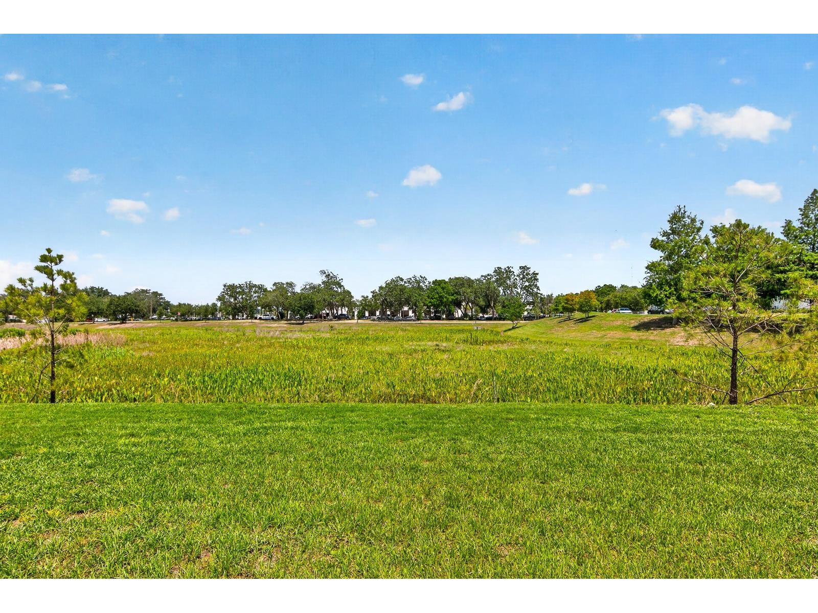 3048 Victoria Inlet Drive Holiday FL 34691 TB8512841 image33