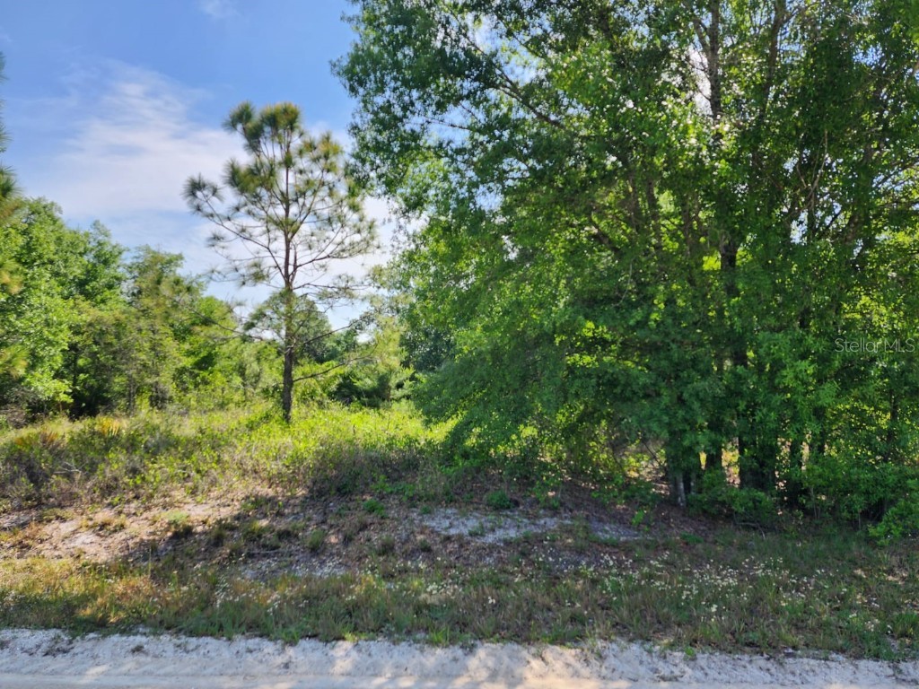 3048 W Joliet Road Avon Park FL 33825 P4929800 image1