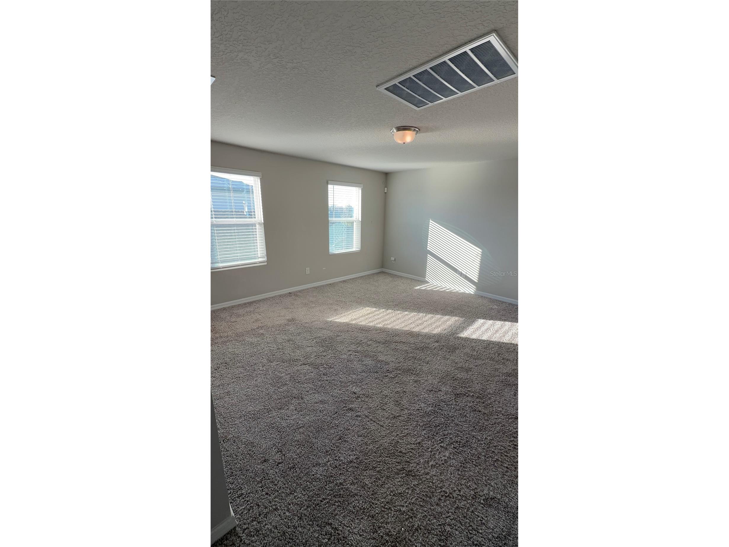 30486 Pintail Drive Leesburg FL 34748 O6393869 image12