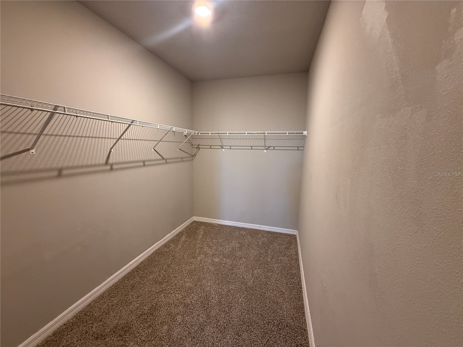 30486 Pintail Drive Leesburg FL 34748 O6393869 image14