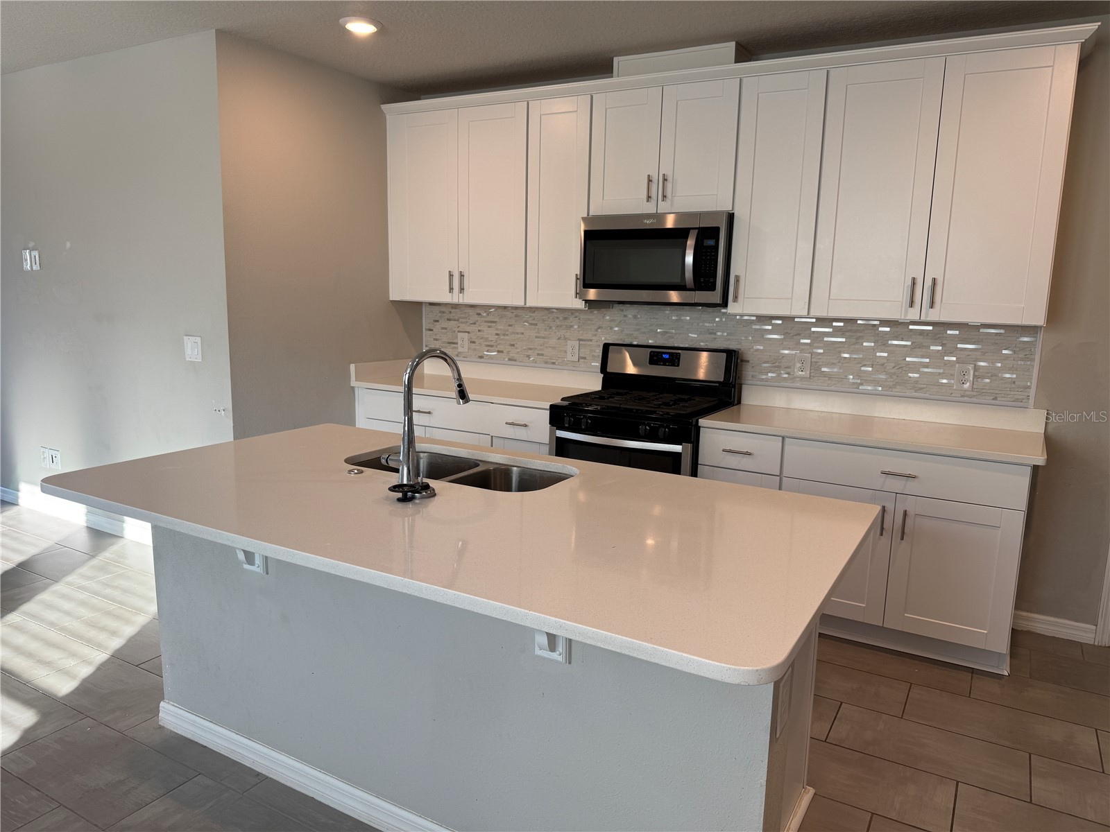 30486 Pintail Drive Leesburg FL 34748 O6393869 image15