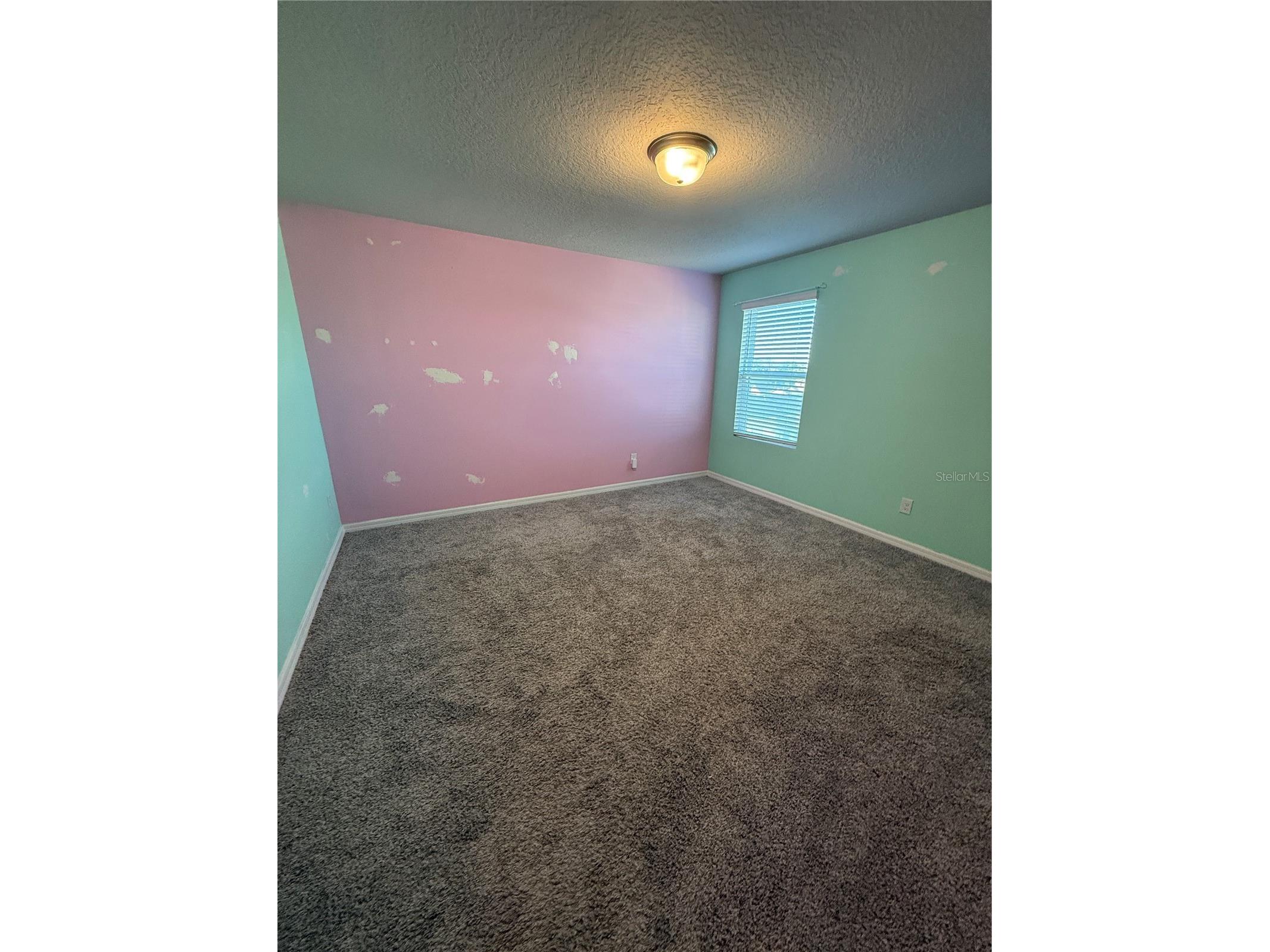 30486 Pintail Drive Leesburg FL 34748 O6393869 image19