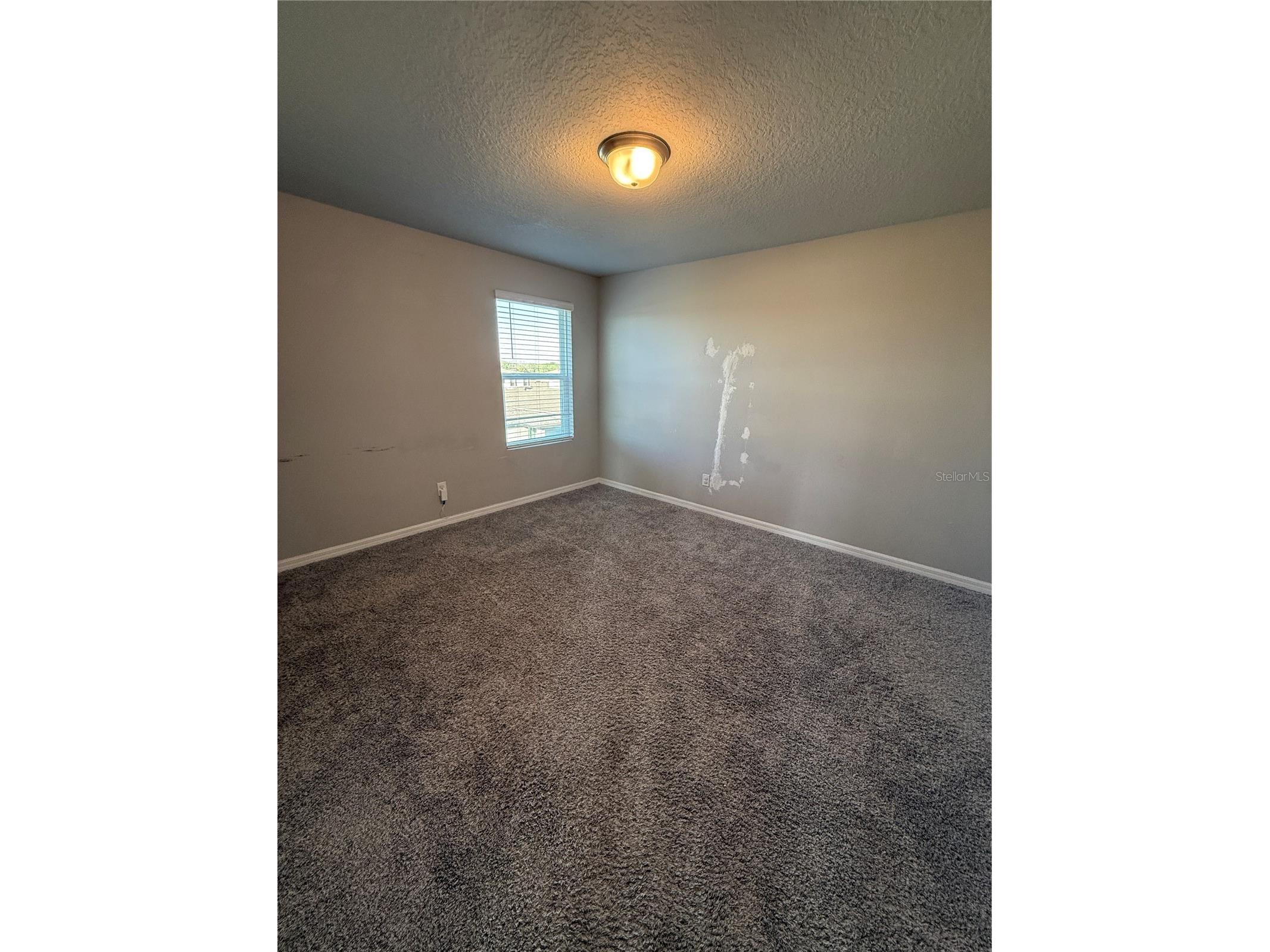 30486 Pintail Drive Leesburg FL 34748 O6393869 image20