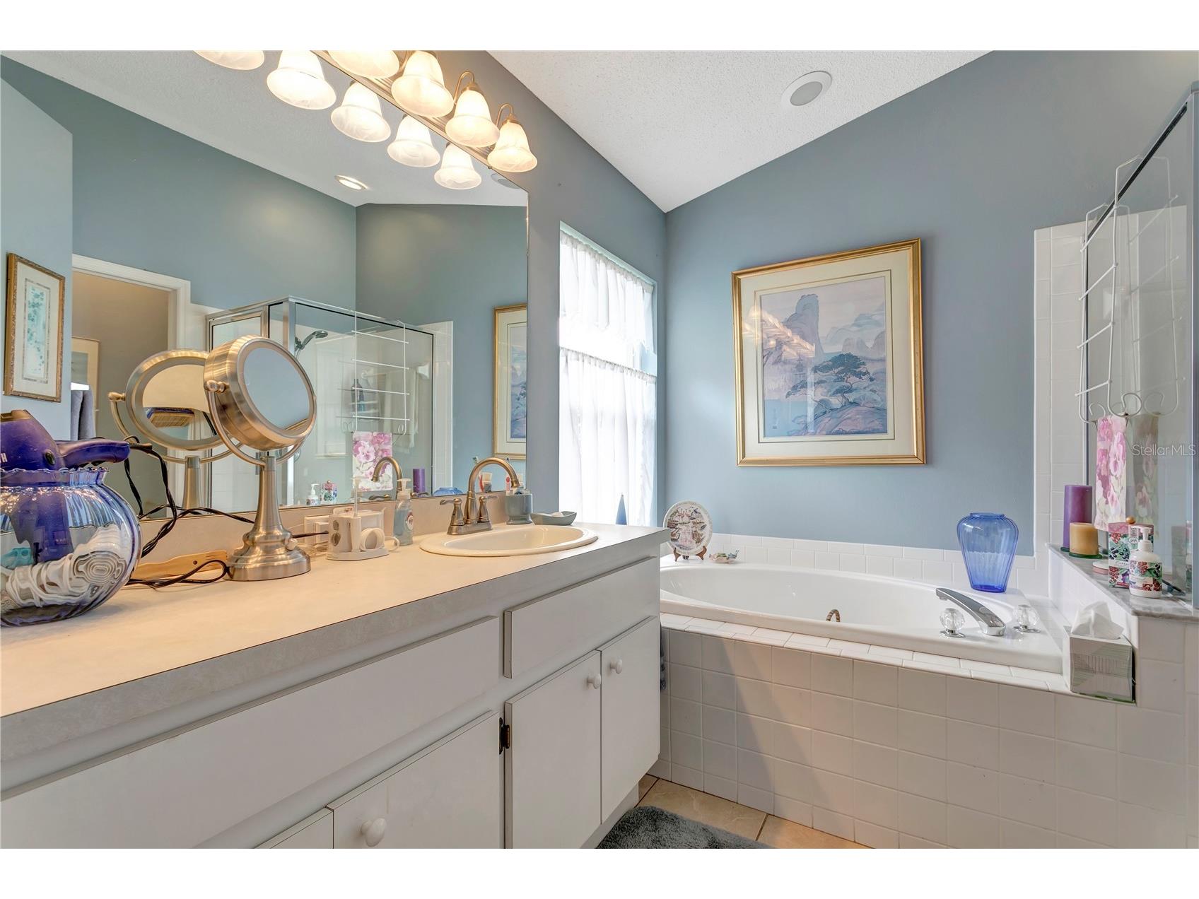 3049 Beaver Pond Trail Valrico FL 33596 TB8513398 image17
