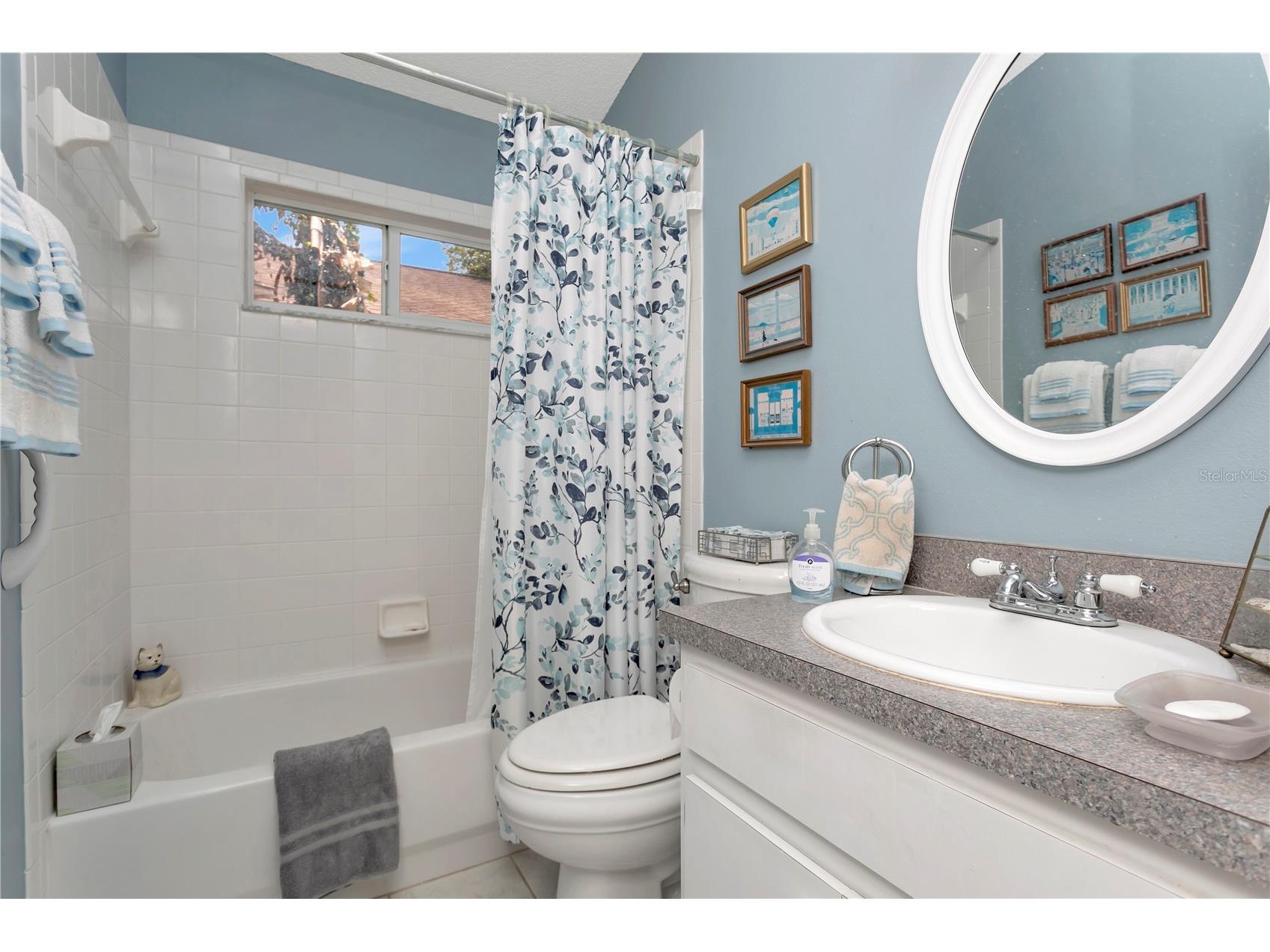 3049 Beaver Pond Trail Valrico FL 33596 TB8513398 image34