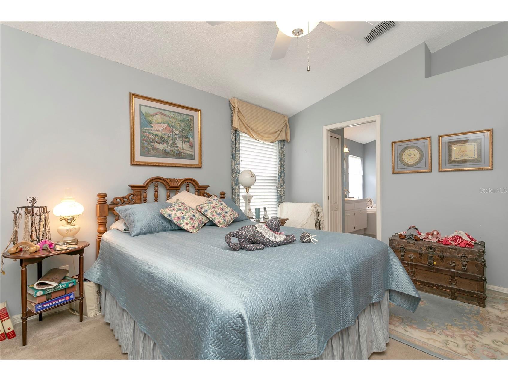 3049 Beaver Pond Trail Valrico FL 33596 TB8513398 image38