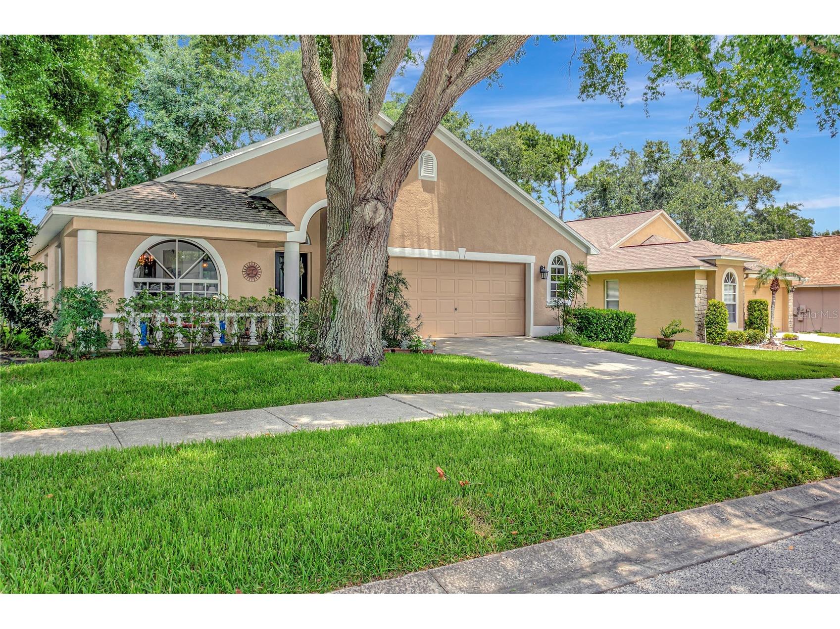 3049 Beaver Pond Trail Valrico FL 33596 TB8513398 image49