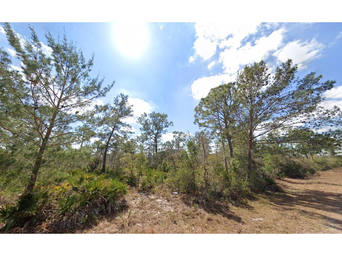 3049 Cedar Hill Avenue Lake Placid FL 33852 O6410581 image1