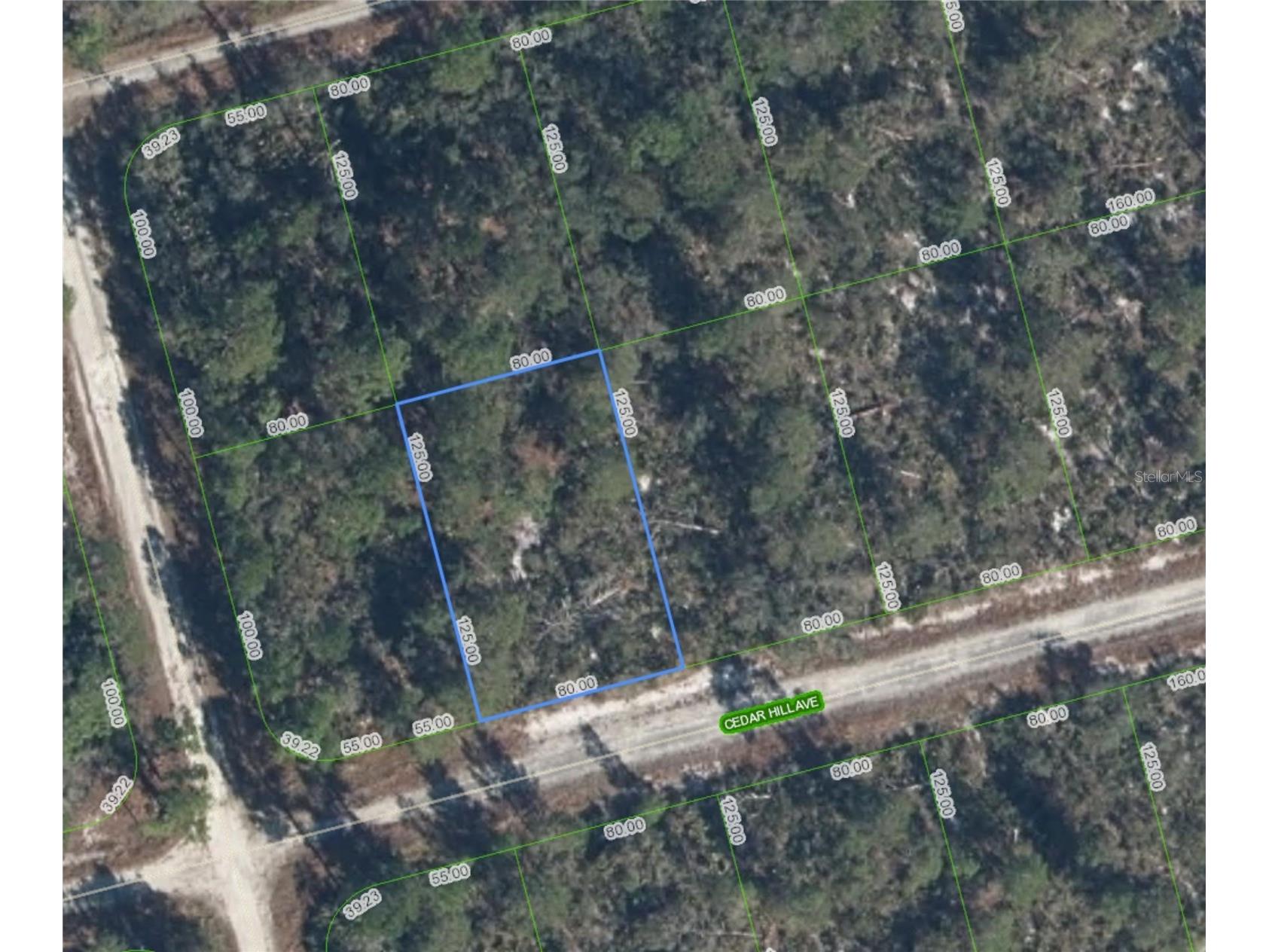 3049 Cedar Hill Avenue Lake Placid FL 33852 O6410581 image11