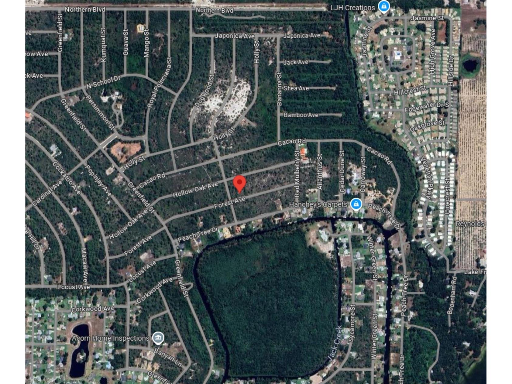 3049 Cedar Hill Avenue Lake Placid FL 33852 O6410581 image15