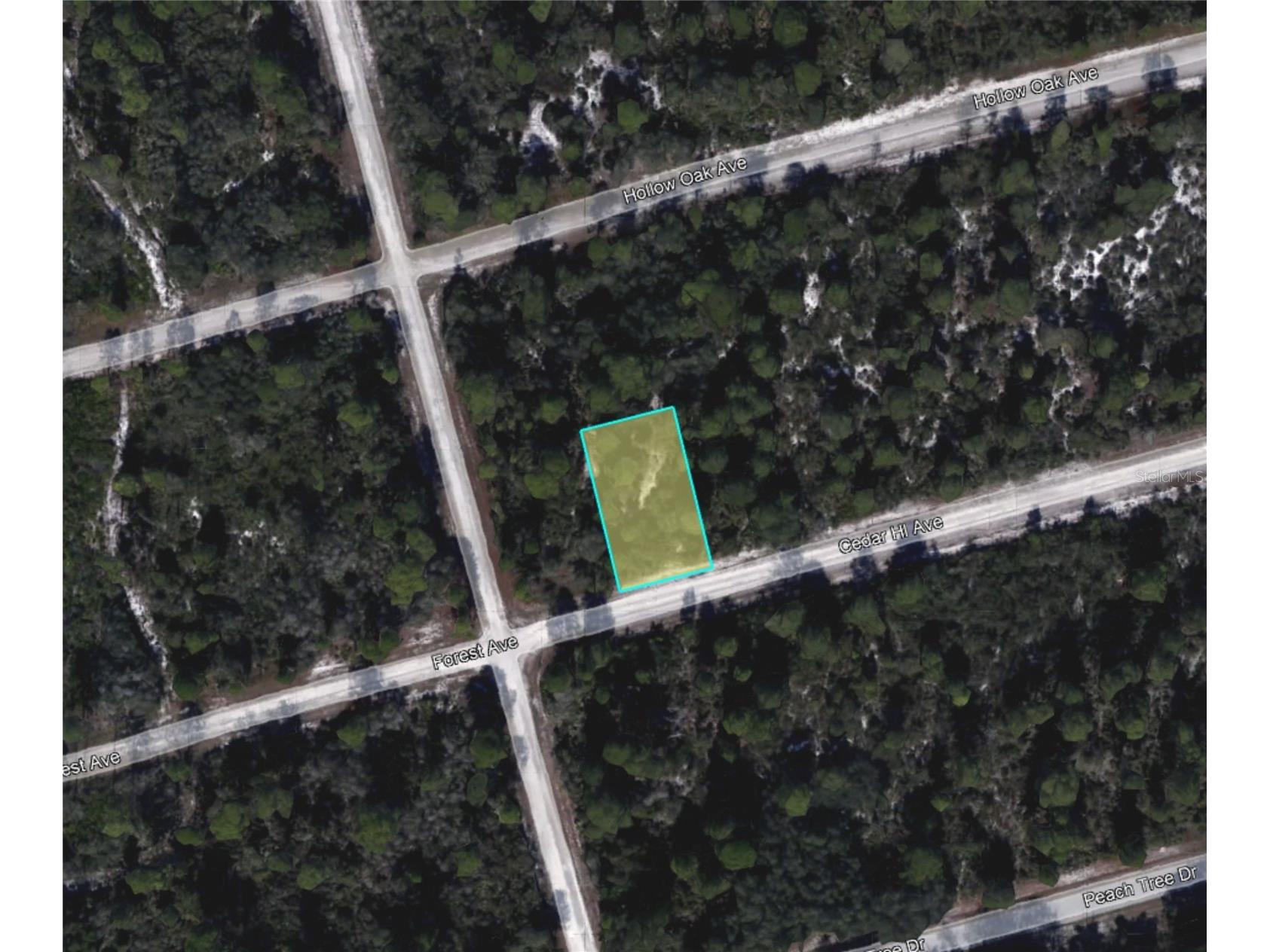 3049 Cedar Hill Avenue Lake Placid FL 33852 O6410581 image6