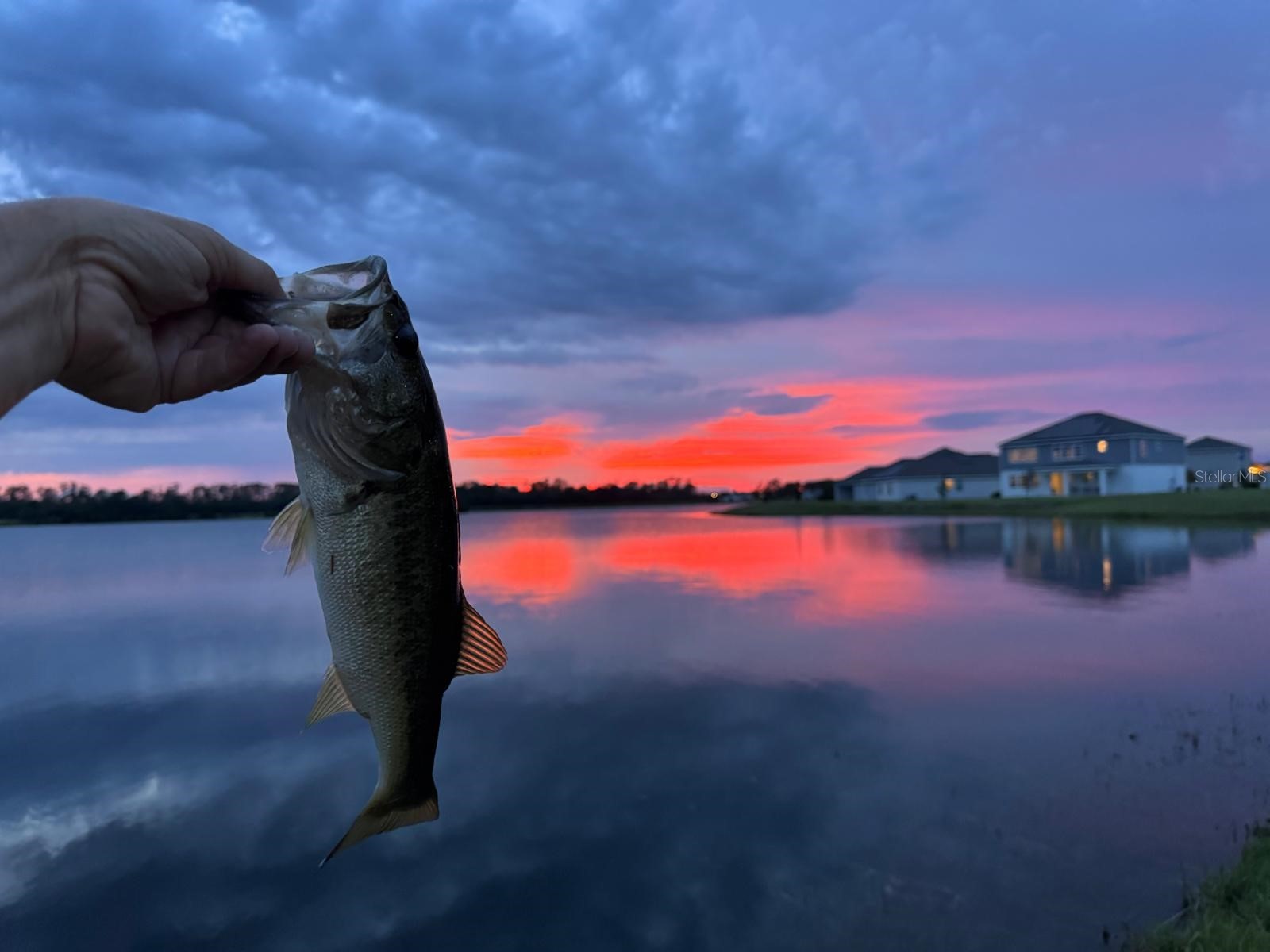 3049 Ella Way Saint Cloud FL 34771 S5143334 image3