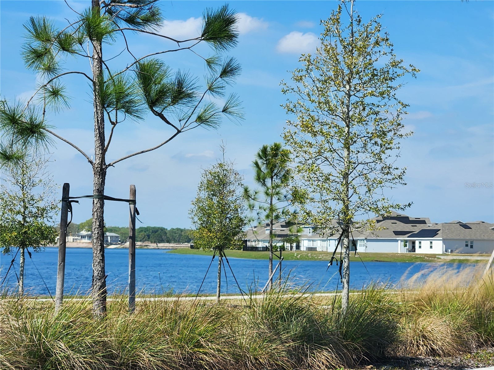 3049 Ella Way Saint Cloud FL 34771 S5143334 image5