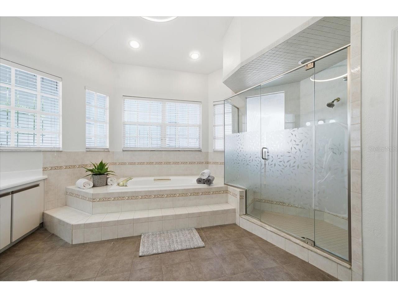 3049 Geiger Court Clearwater FL 33761 TB8478694 image48