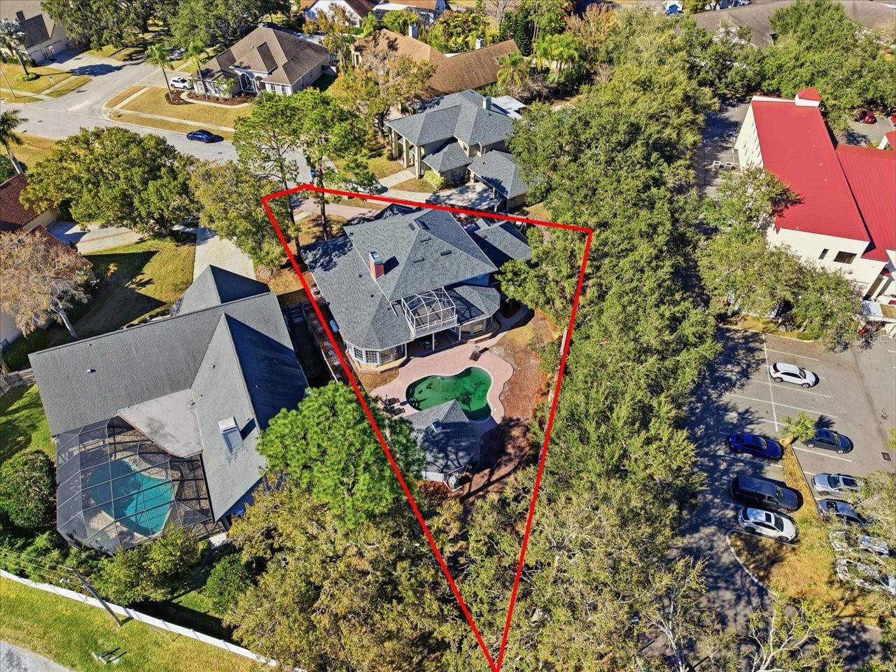 3049 Geiger Court Clearwater FL 33761 TB8478694 image83