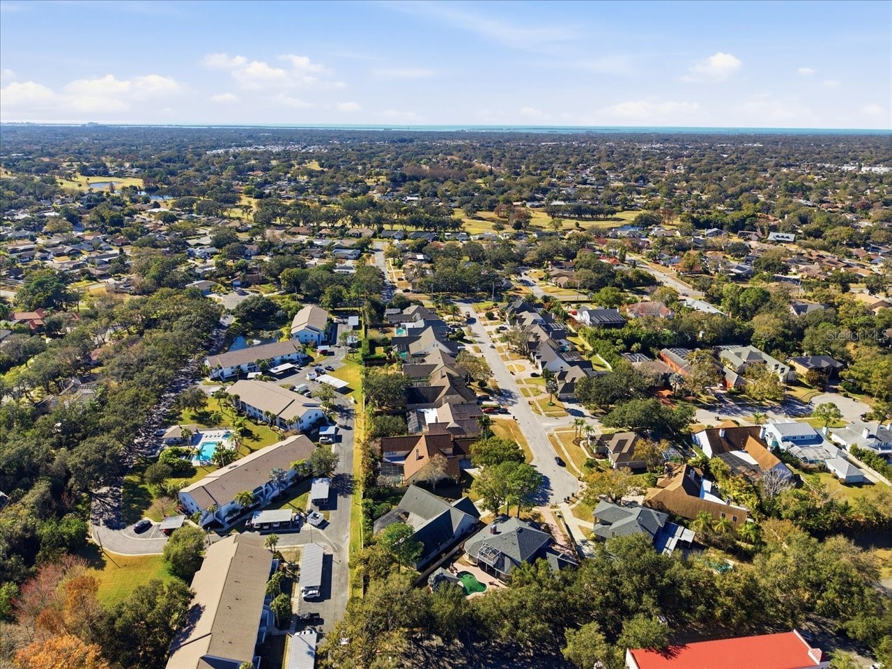 3049 Geiger Court Clearwater FL 33761 TB8478694 image87