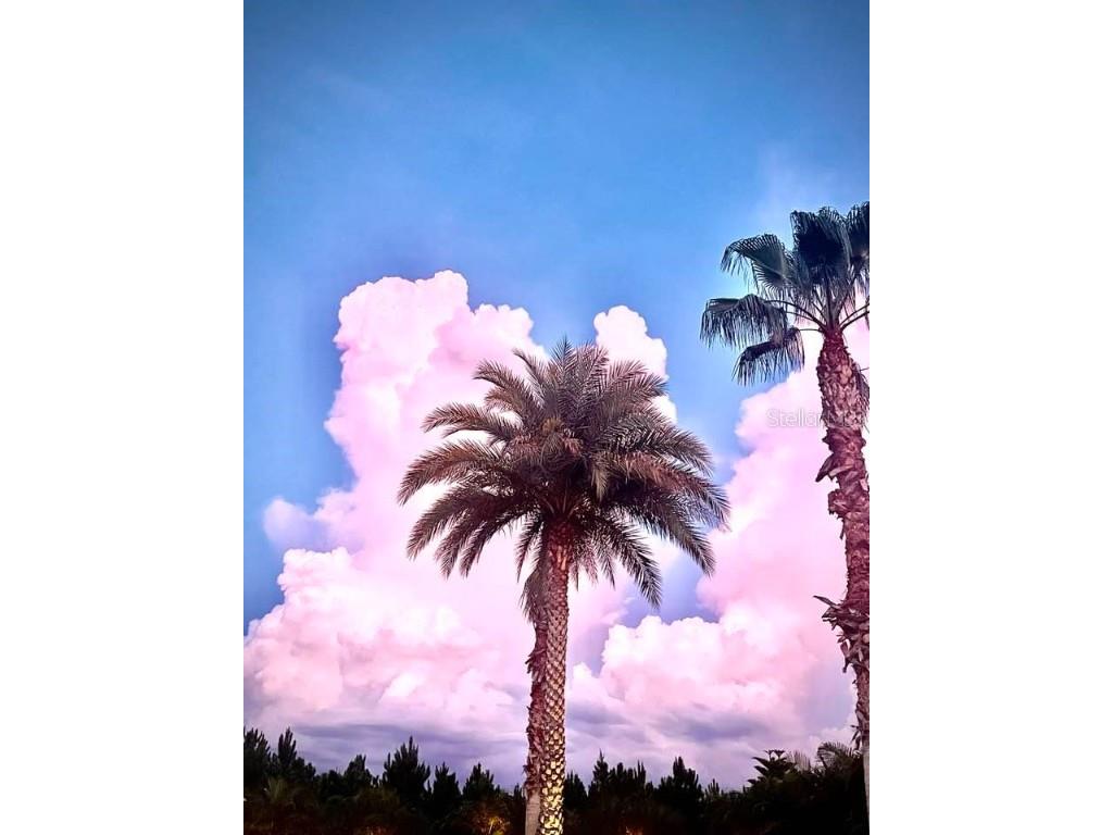 305 Arnold Palmer Drive Davenport FL 33837 O6345107 image51