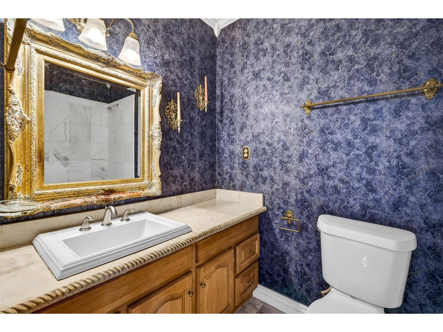 305 Bannockburn Avenue Temple Terrace FL 33617 TB8506716 image40