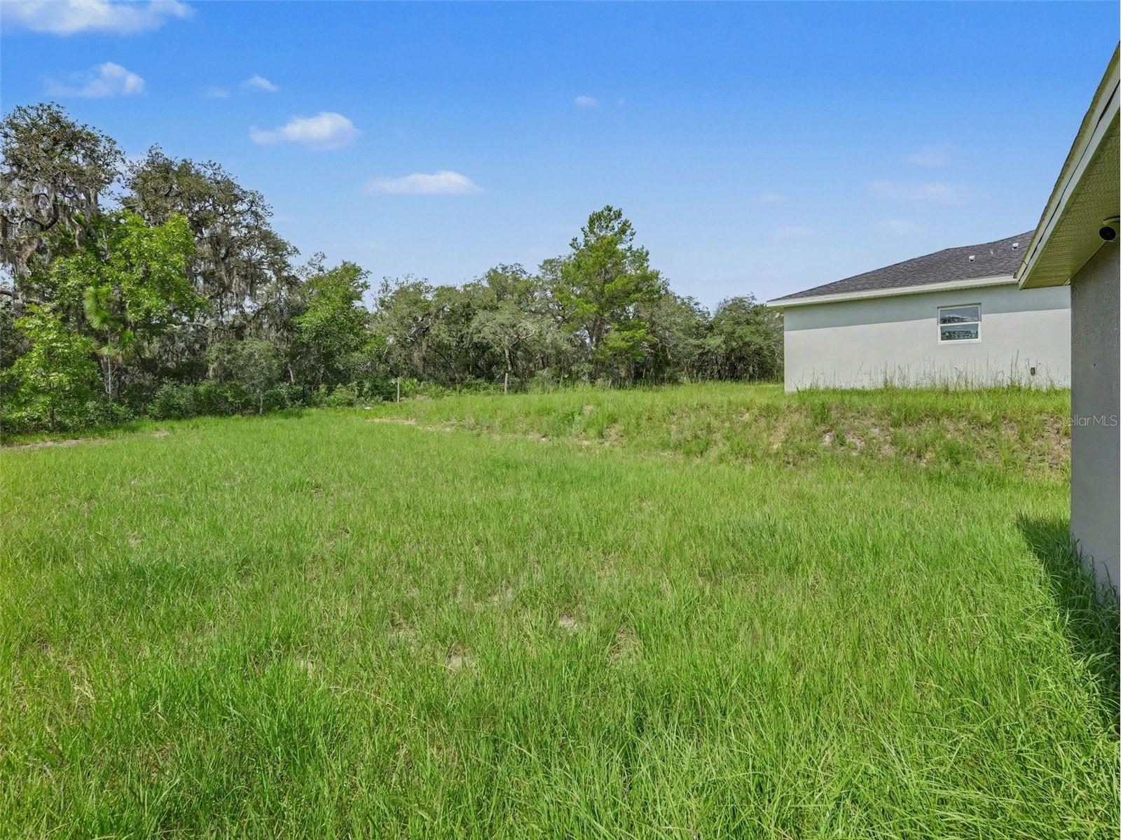 305 Bowfin Drive Kissimmee FL 34759 TB8525992 image15