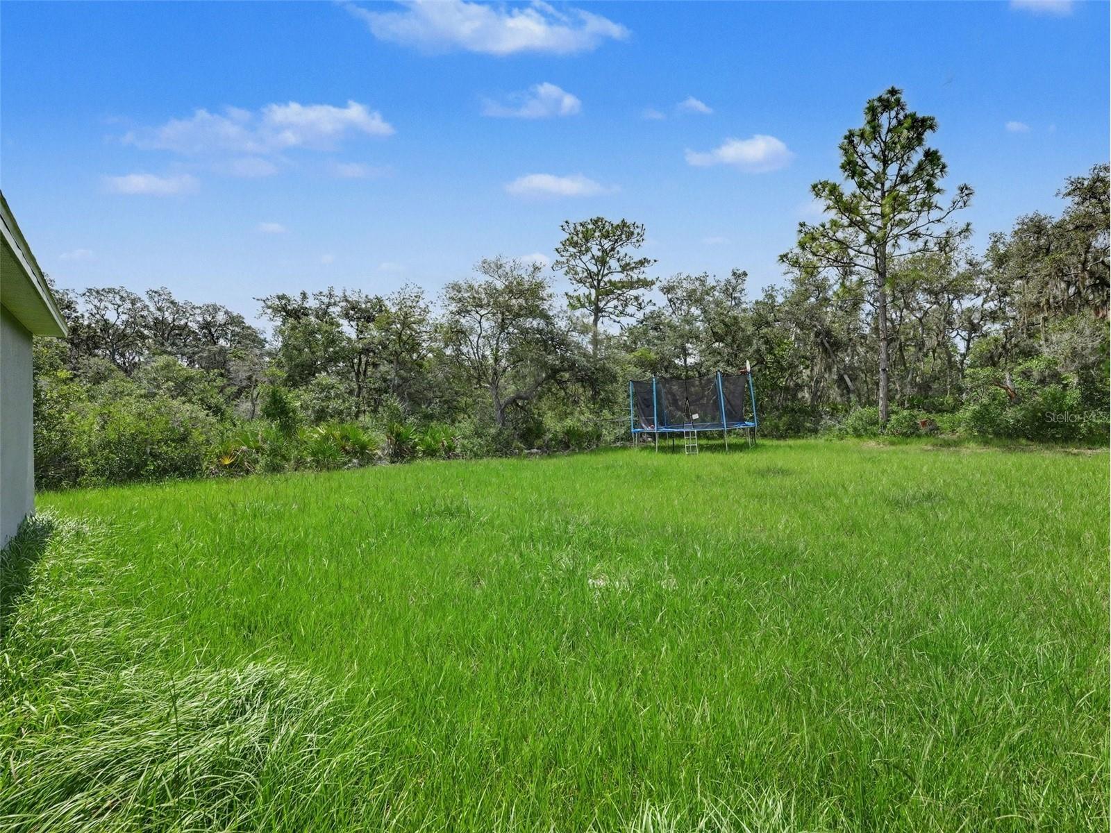 305 Bowfin Drive Kissimmee FL 34759 TB8525992 image16