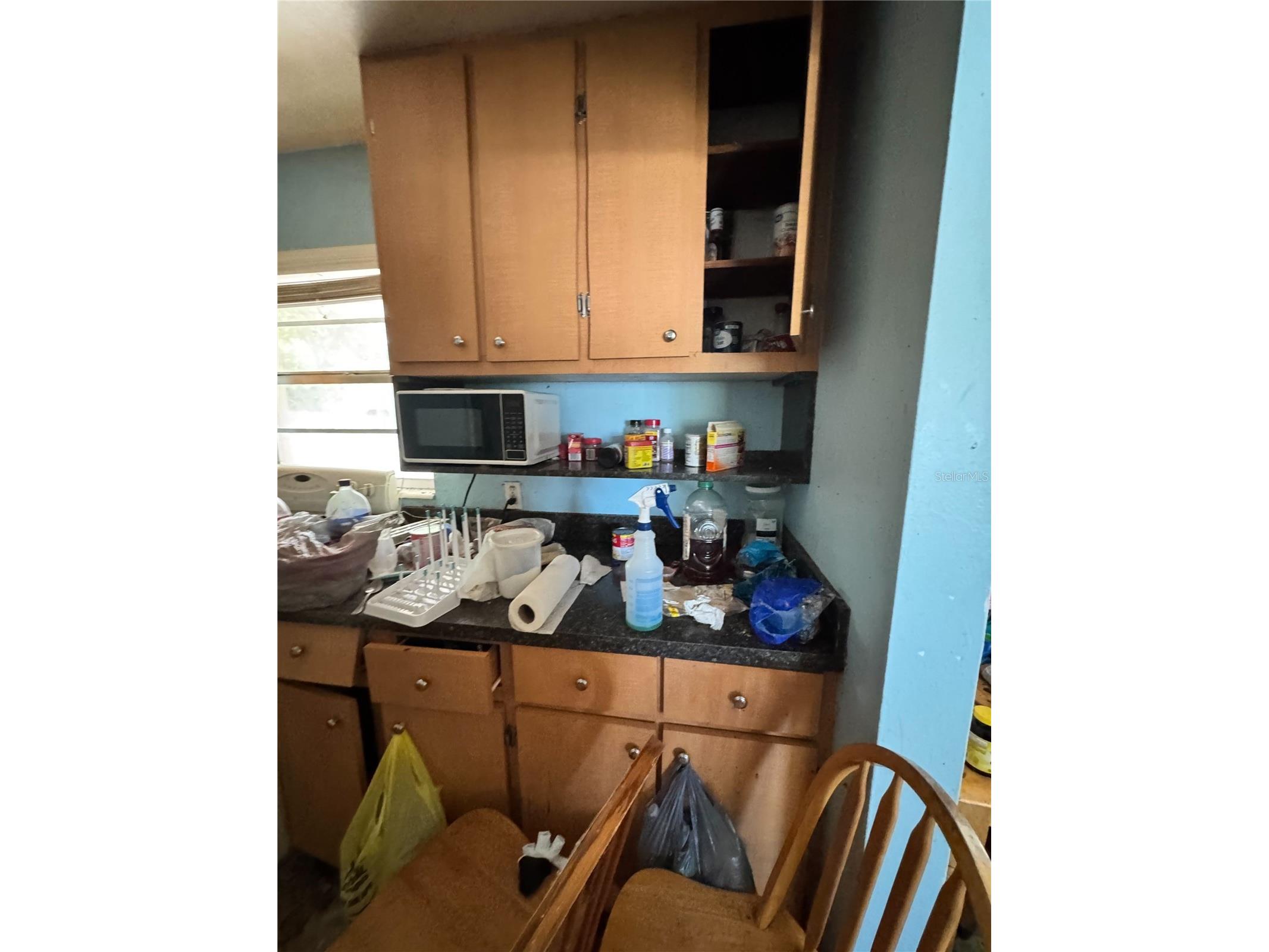 305 Cherry Laurel Avenue Cocoa FL 32926 O6402994 image10