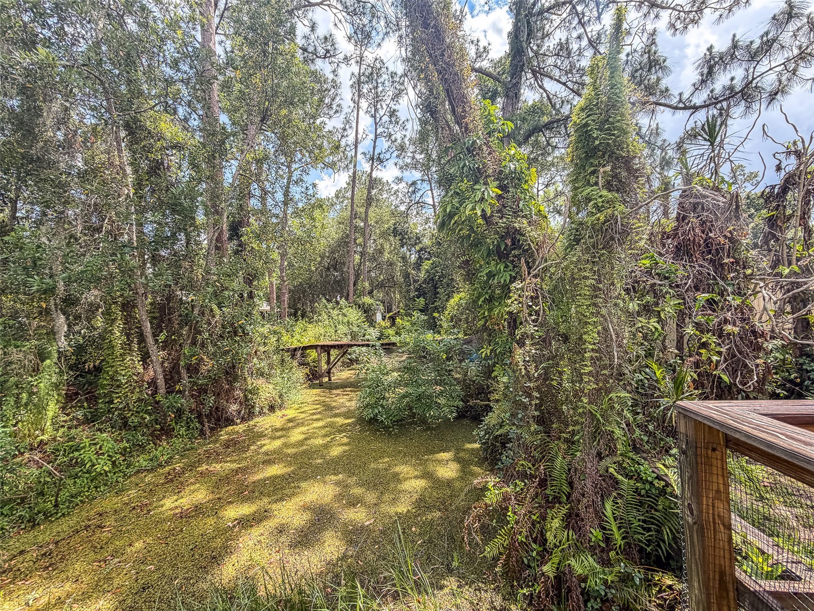 305 Cloverleaf Road Lake Placid FL 33852 L4961191 image25
