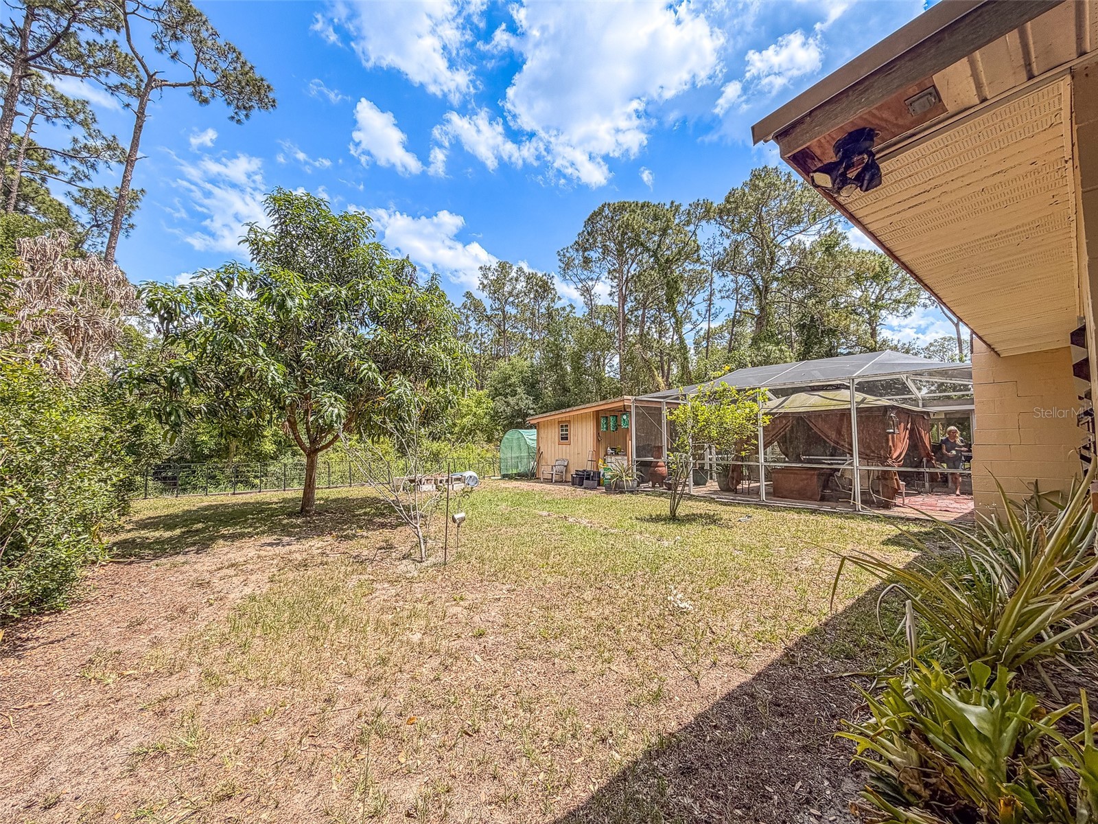 305 Cloverleaf Road Lake Placid FL 33852 L4961191 image27