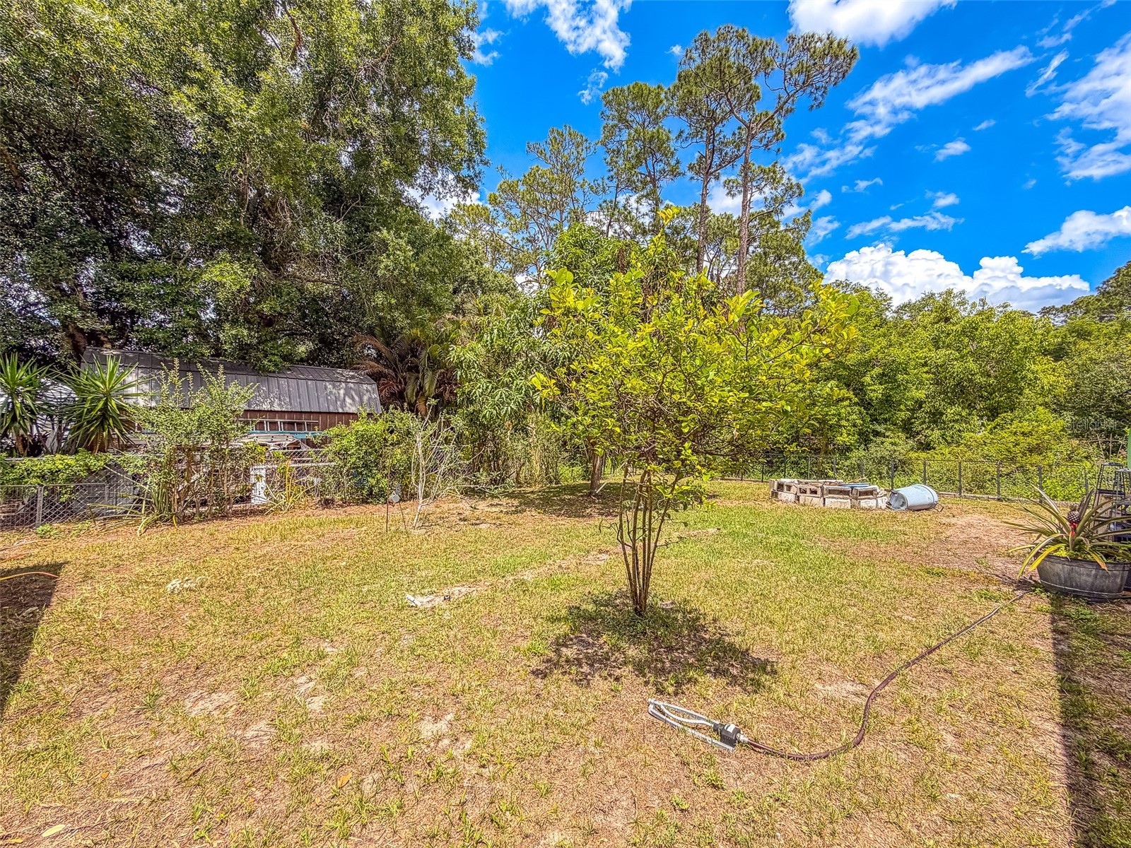 305 Cloverleaf Road Lake Placid FL 33852 L4961191 image30
