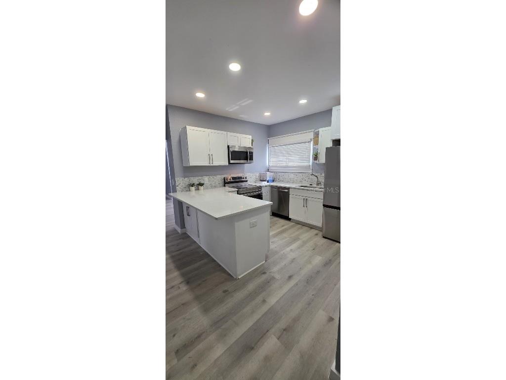 305 E Adalee Street Tampa FL 33603 TB8401517 image6